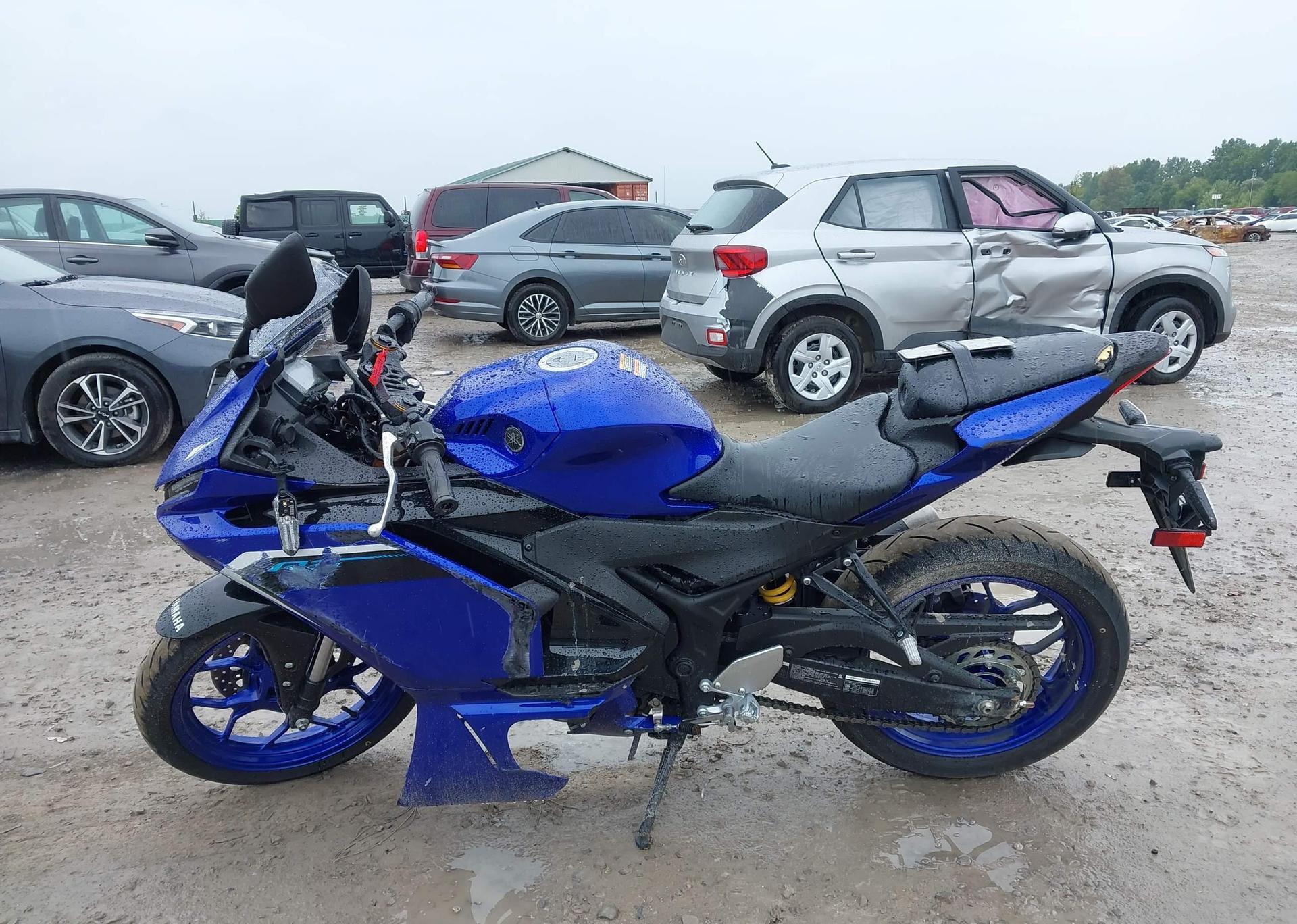 2025 YAMAHA YZF-R3
