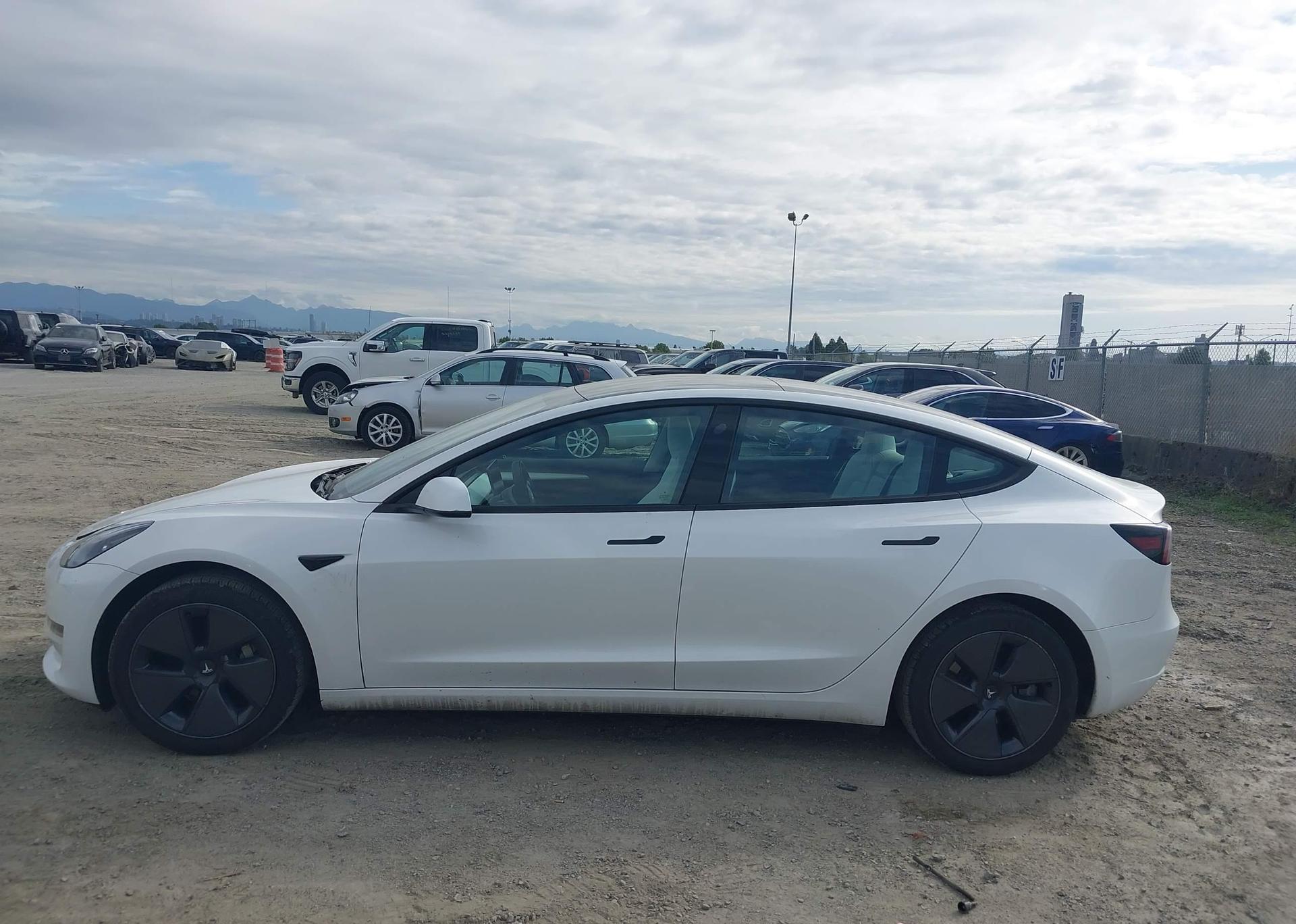 2023 TESLA MODEL 3 RWD