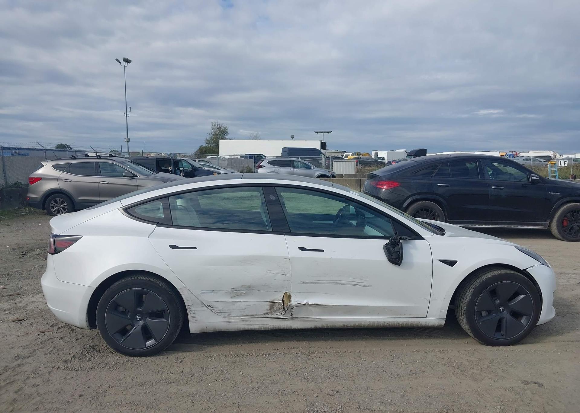 2023 TESLA MODEL 3 RWD