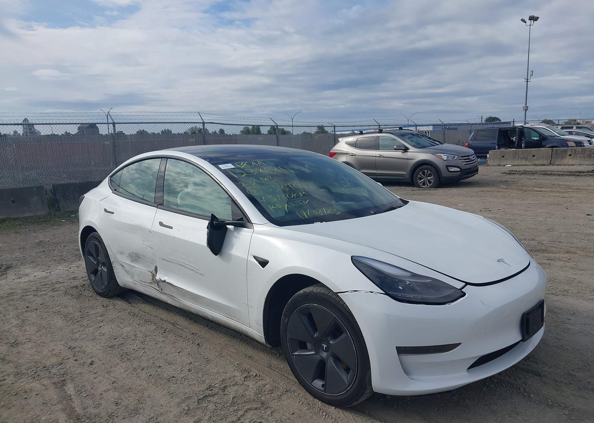 2023 TESLA MODEL 3 RWD