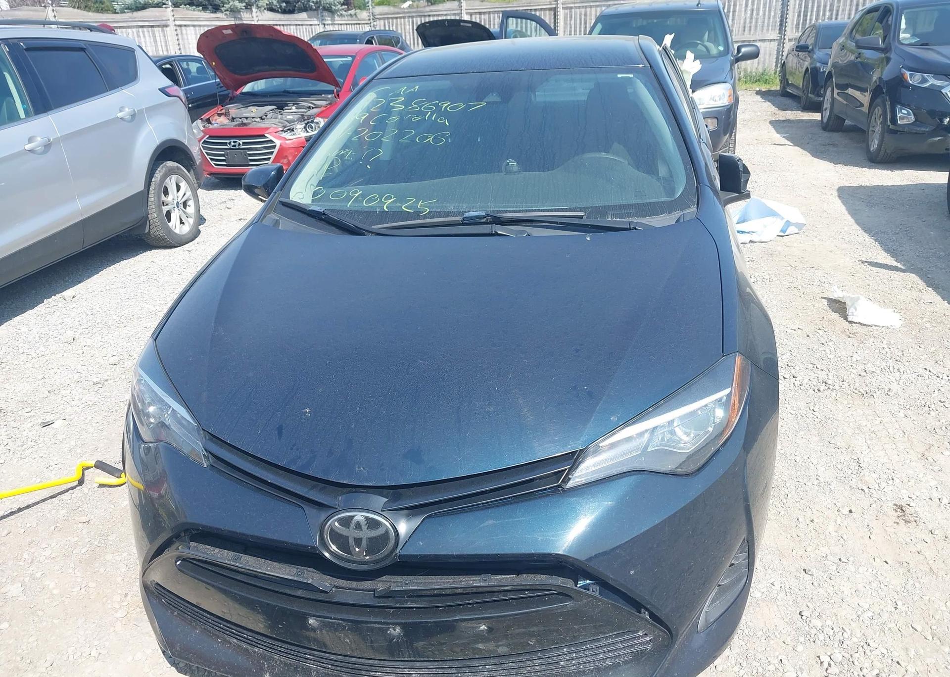 2019 TOYOTA COROLLA L