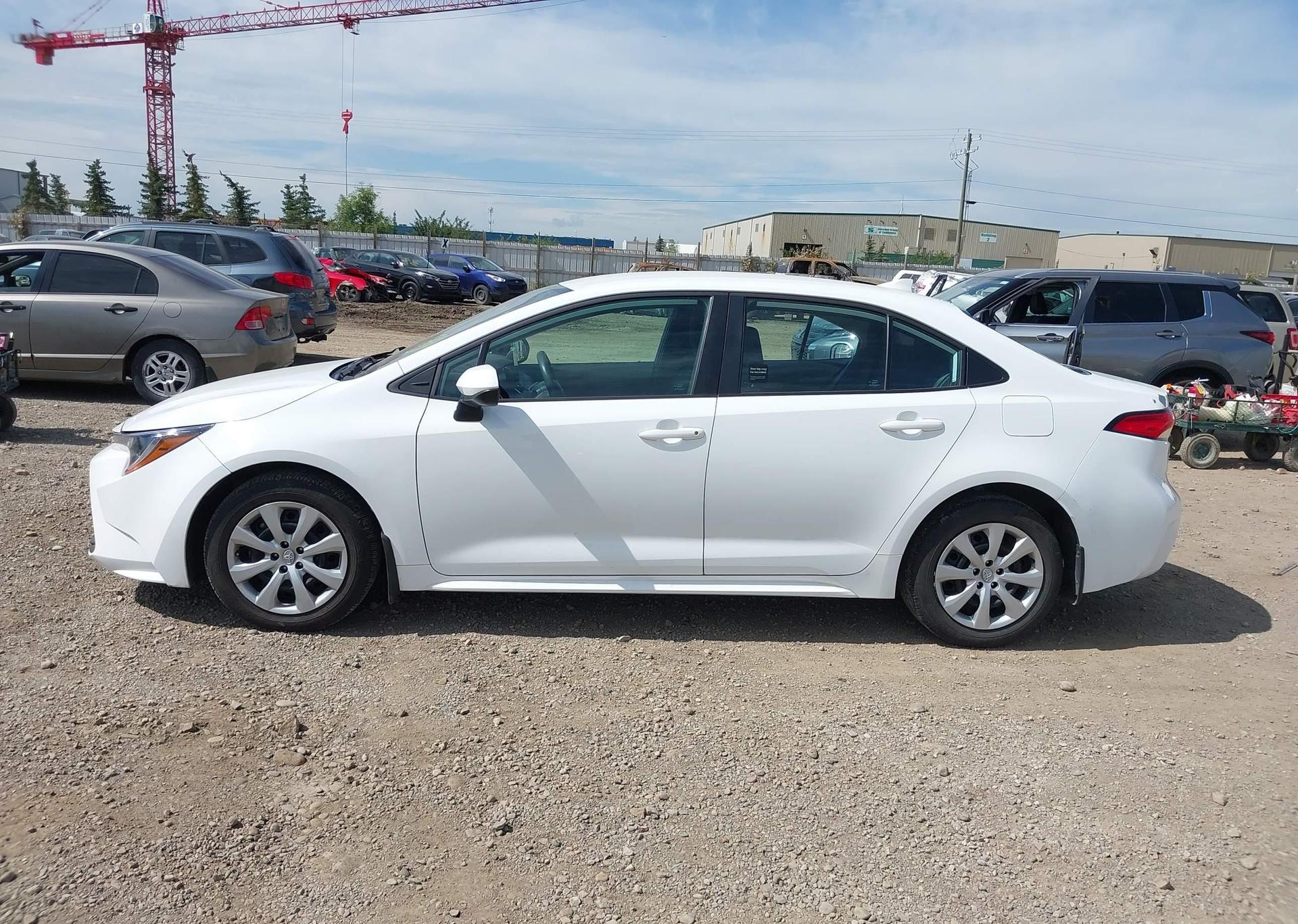 2023 TOYOTA COROLLA