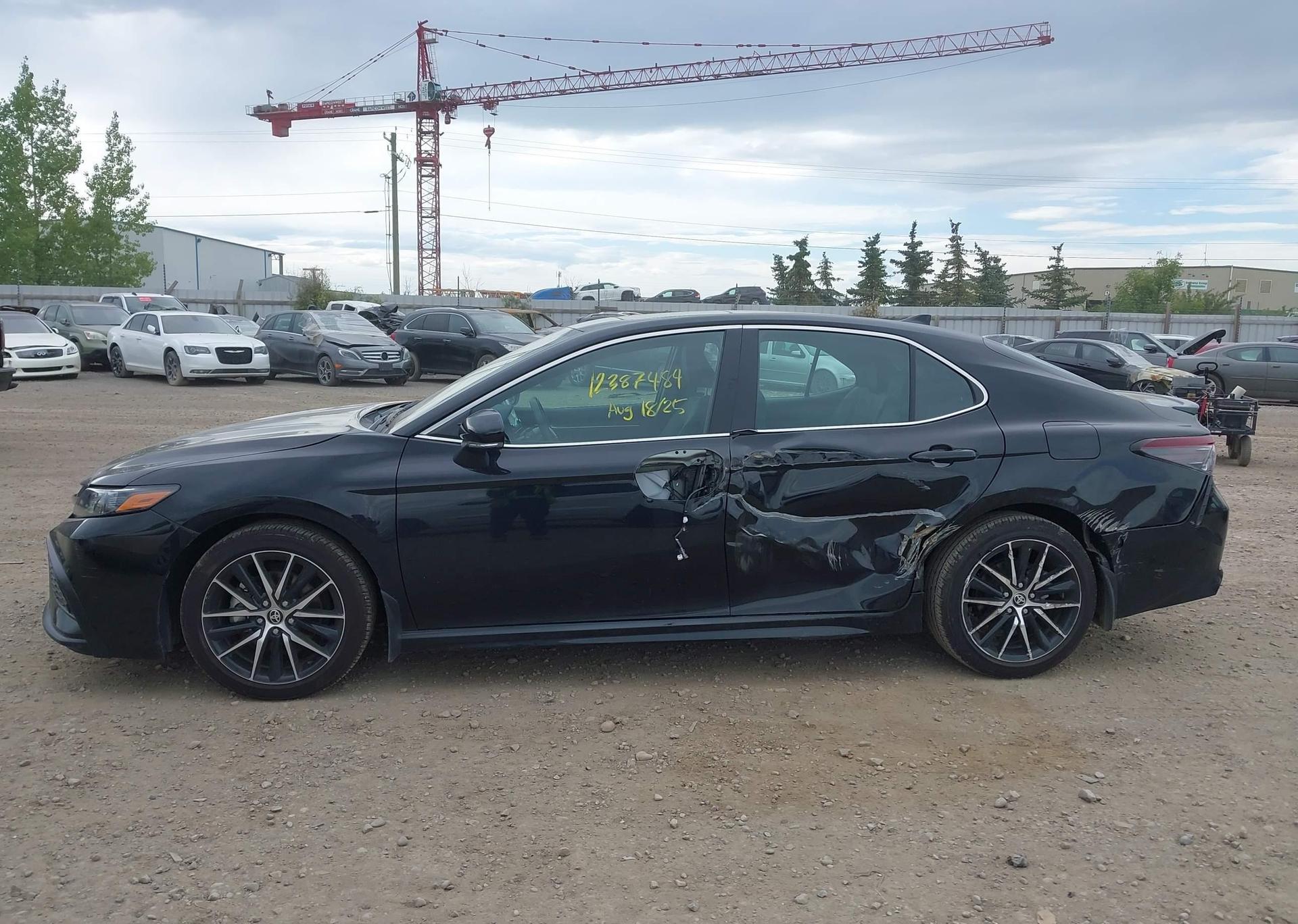 2024 TOYOTA CAMRY SE