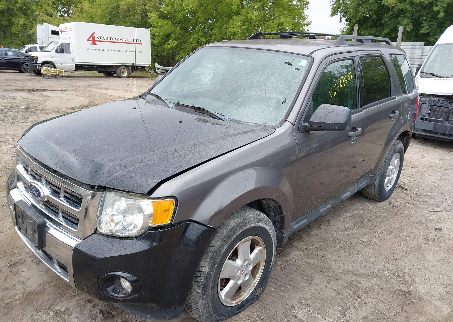 2011 FORD ESCAPE XLT