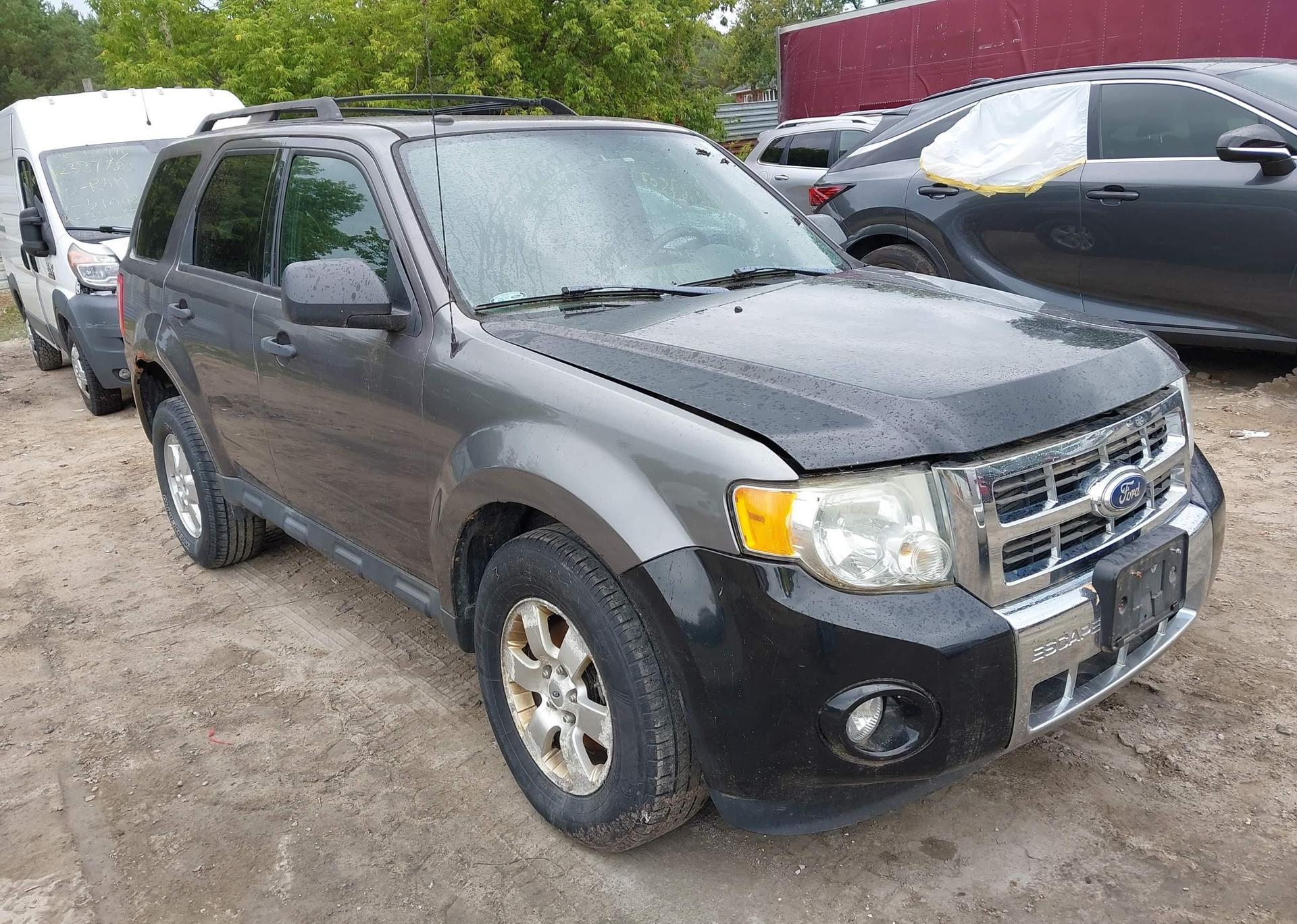 2011 FORD ESCAPE XLT