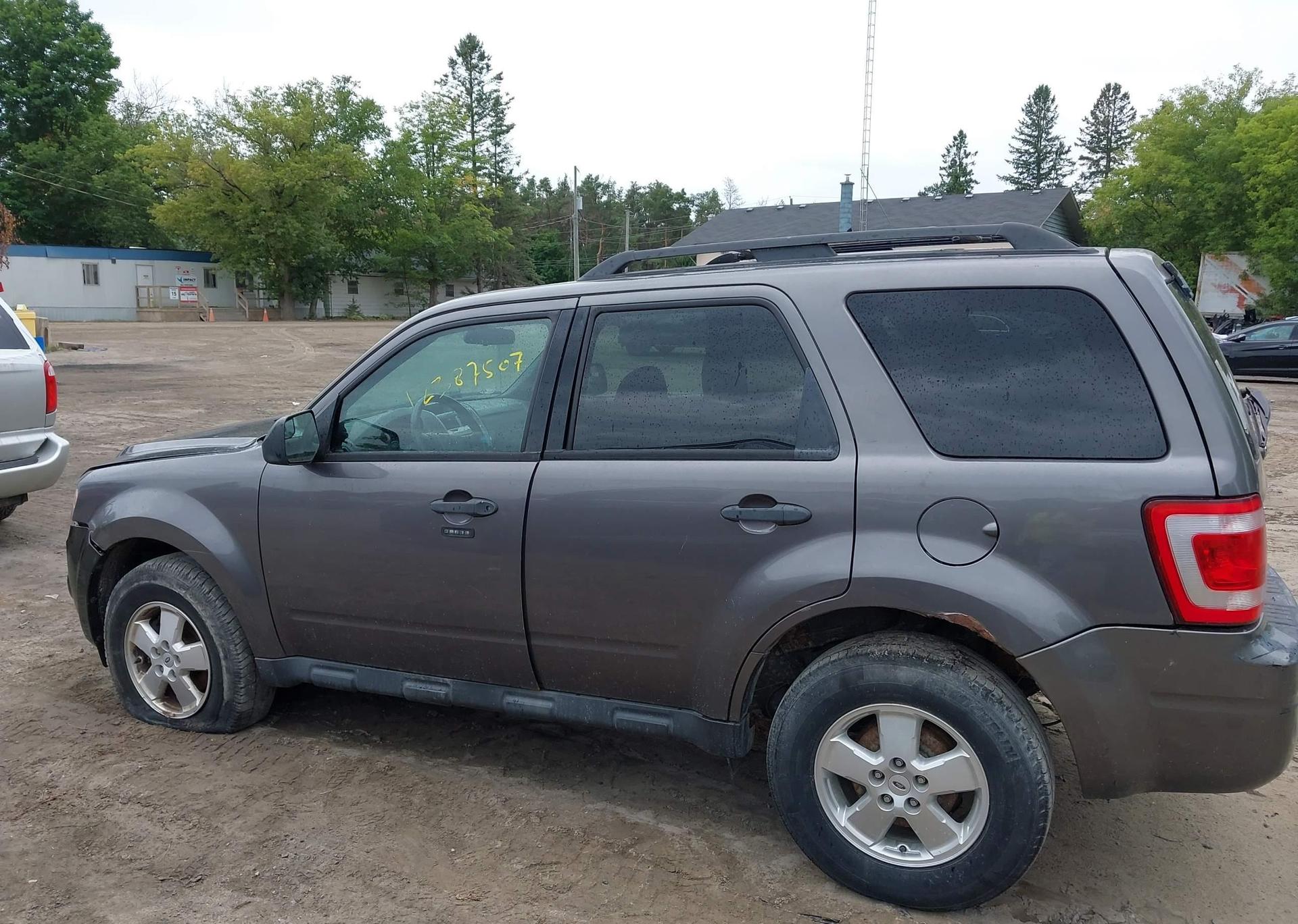 2011 FORD ESCAPE XLT