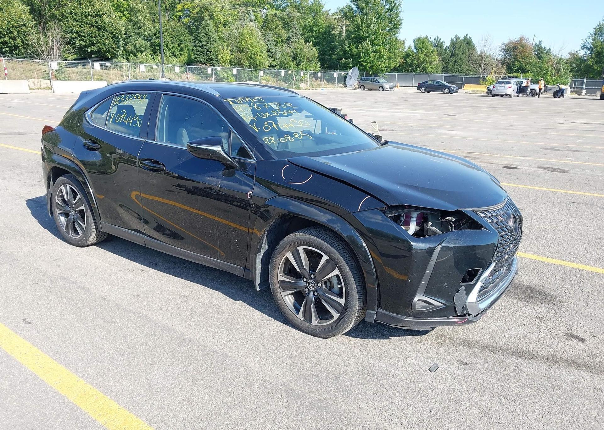 2024 LEXUS UX 250H