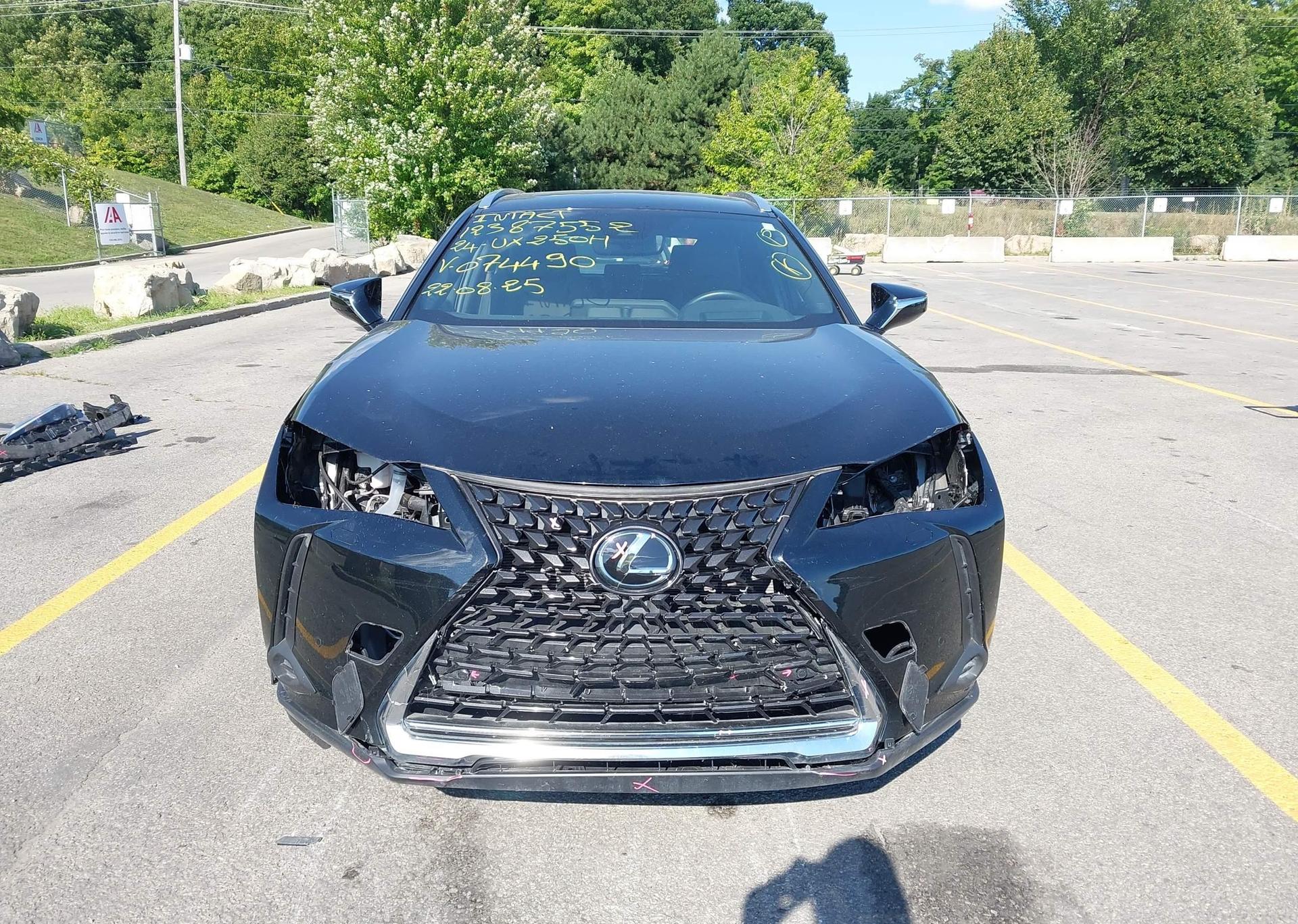 2024 LEXUS UX 250H