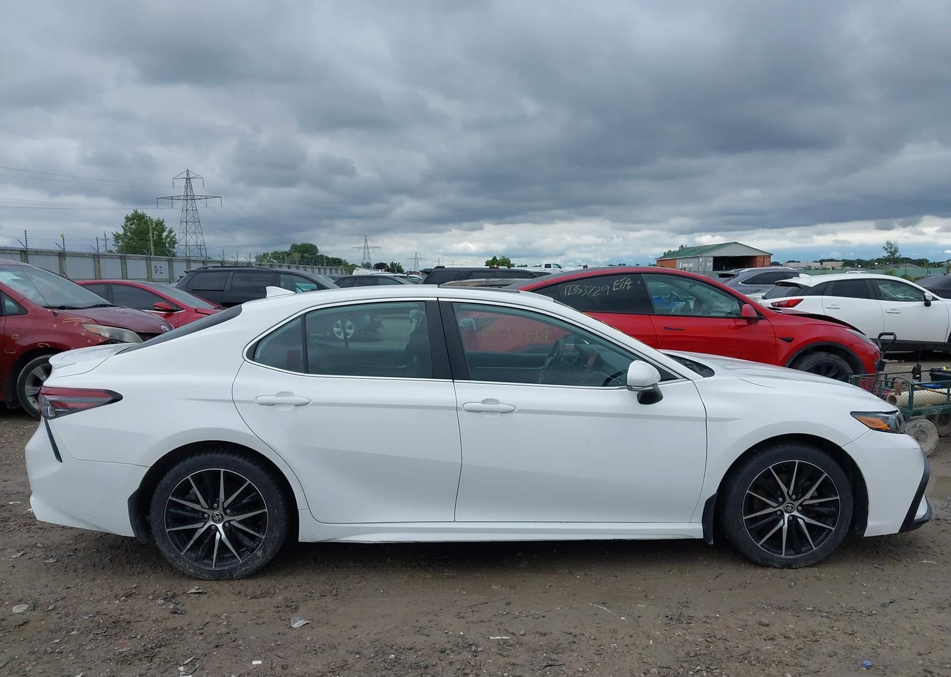 2023 TOYOTA CAMRY XLE