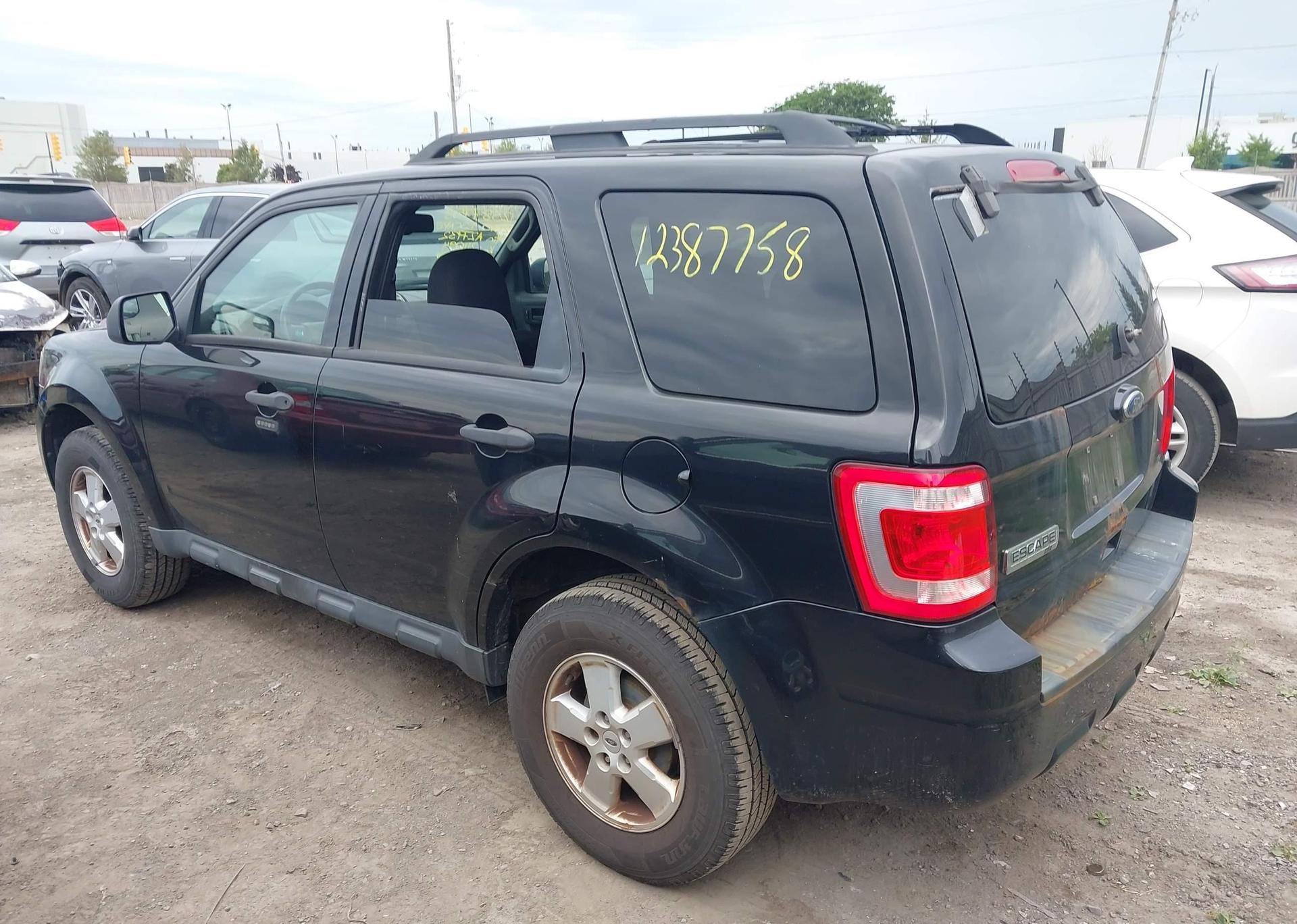 2010 FORD ESCAPE XLT
