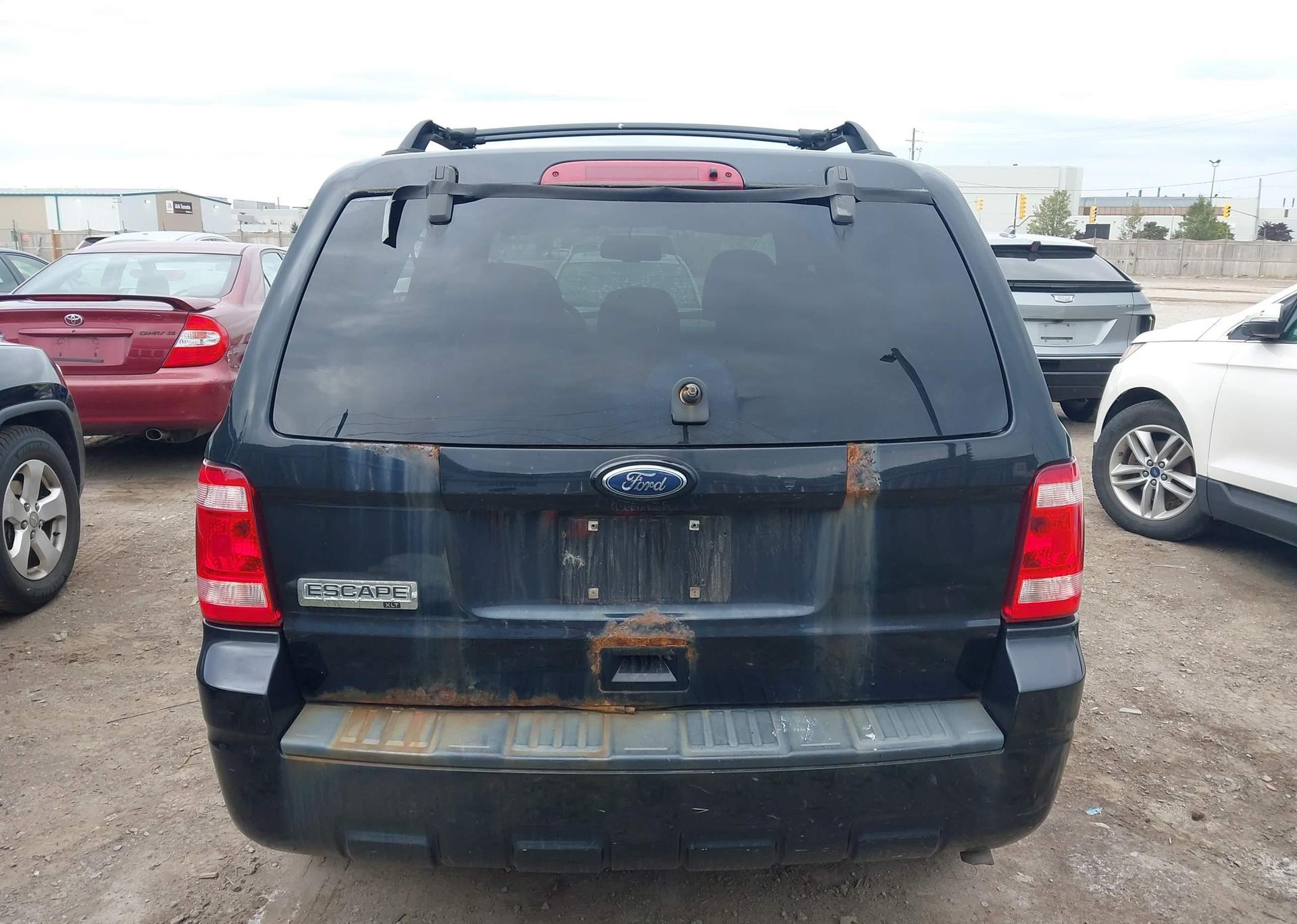 2010 FORD ESCAPE XLT