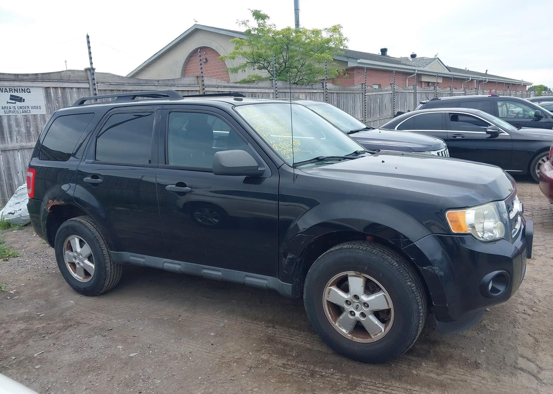 2010 FORD ESCAPE XLT