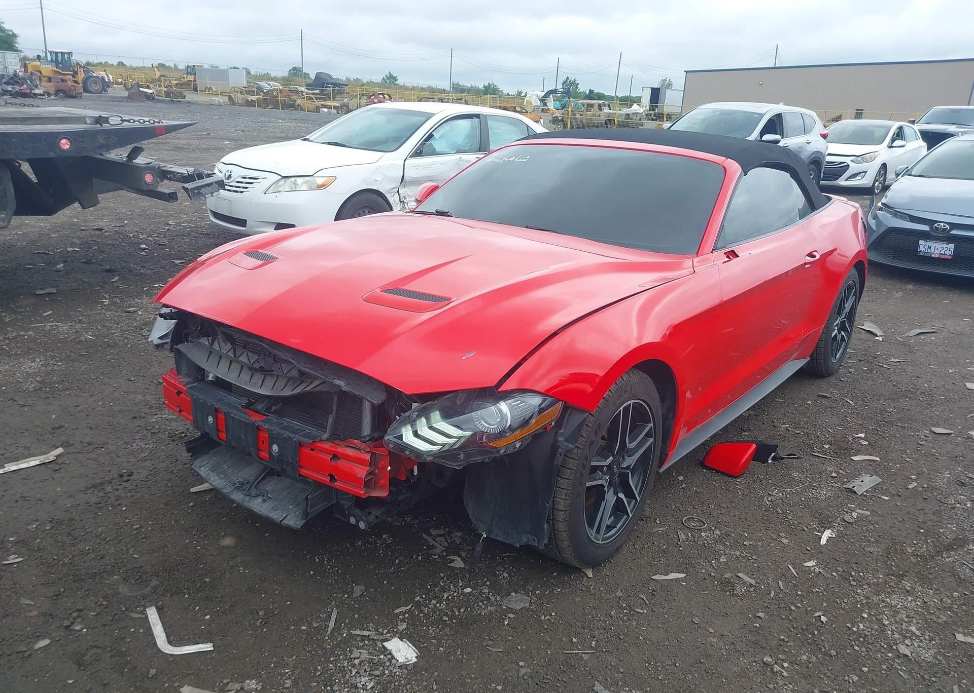 2019 FORD Mustang Convertible