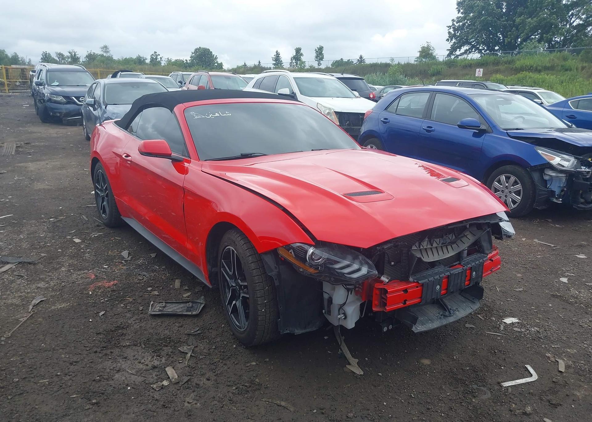 2019 FORD Mustang Convertible
