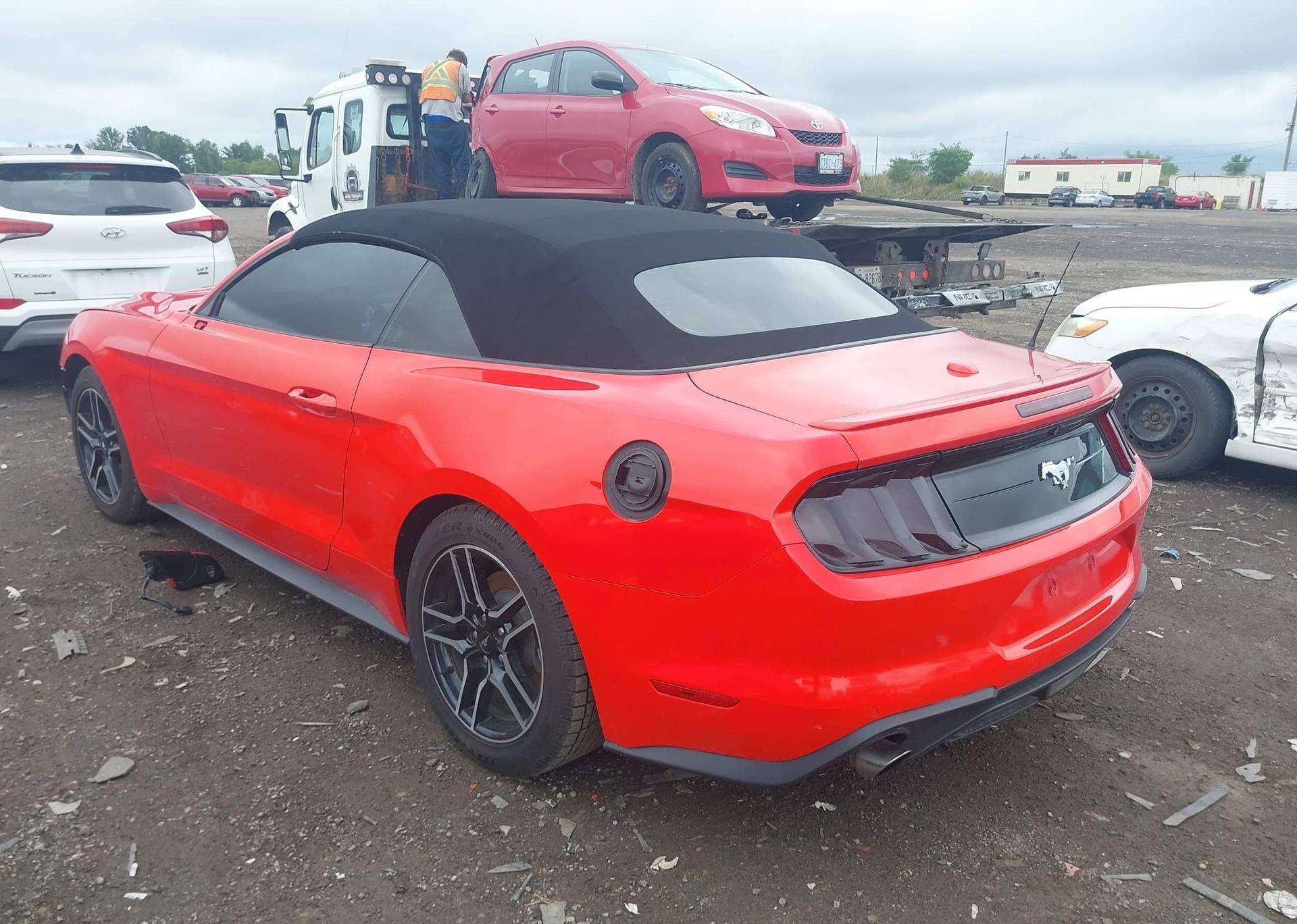 2019 FORD Mustang Convertible