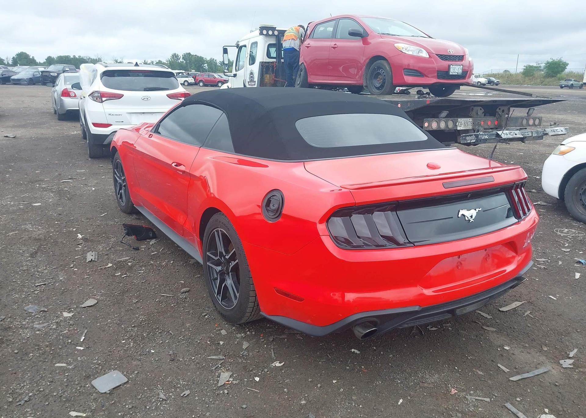 2019 FORD Mustang Convertible