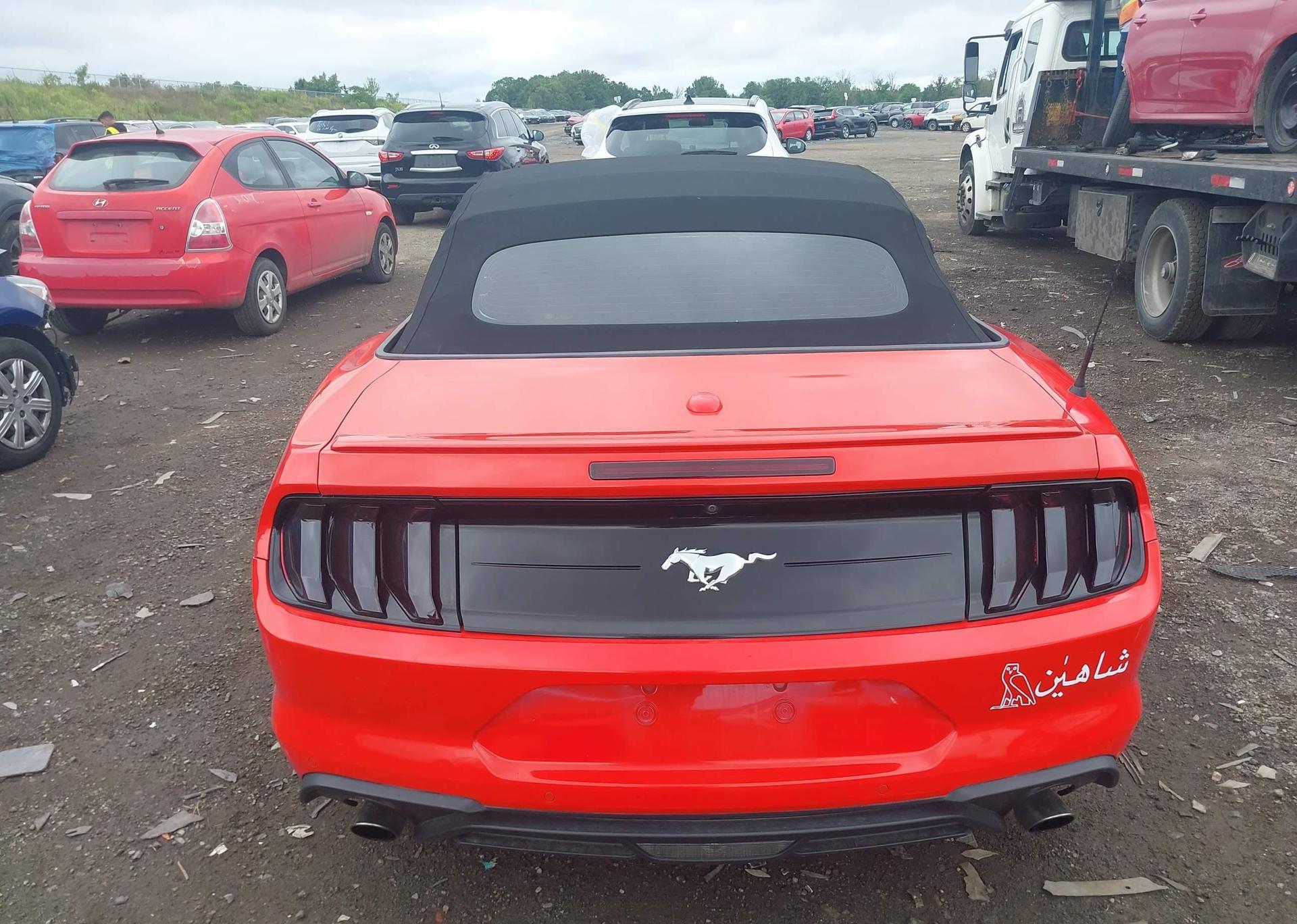 2019 FORD Mustang Convertible