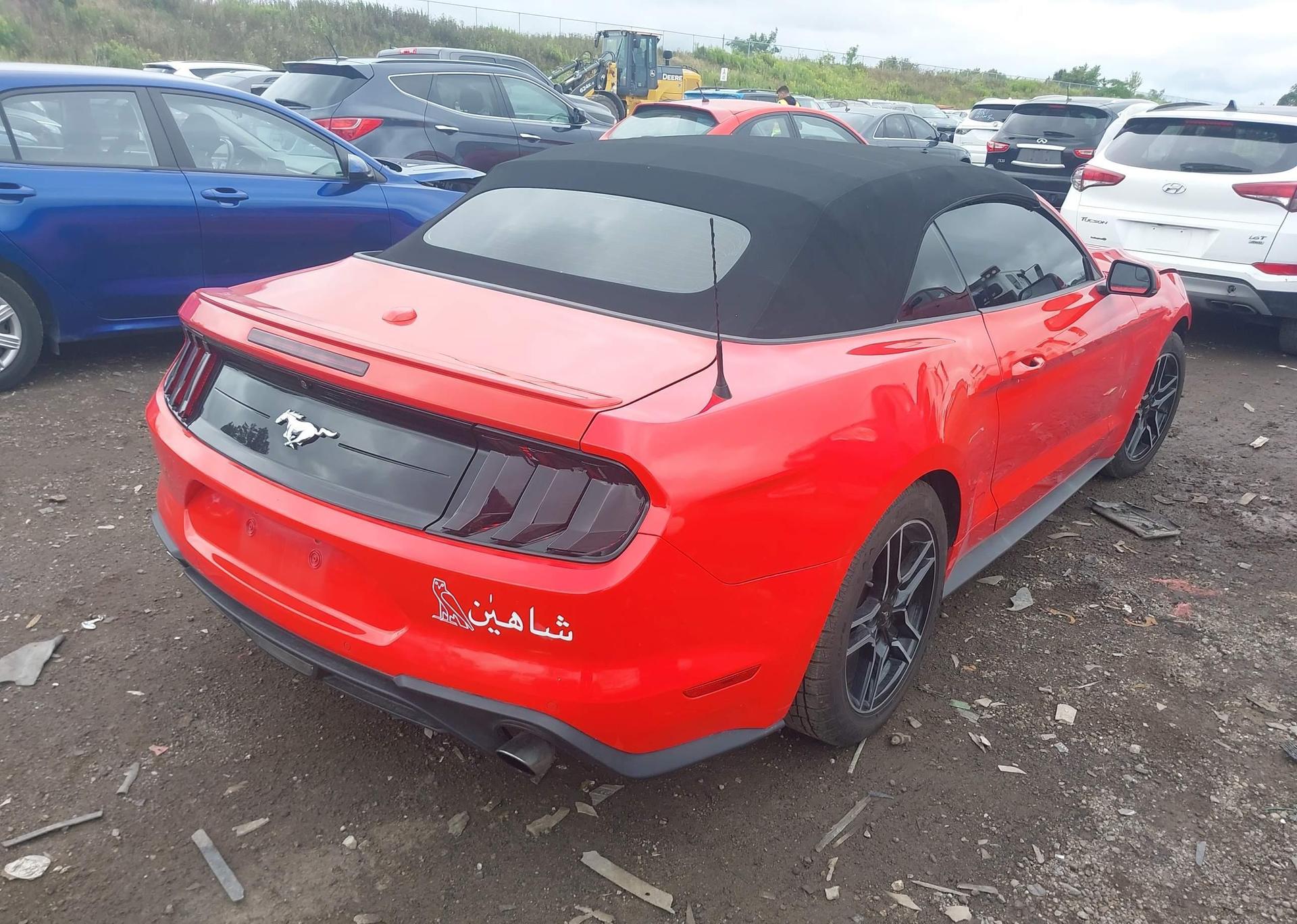 2019 FORD Mustang Convertible