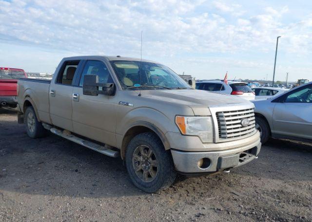 2010 FORD F-150 FX4