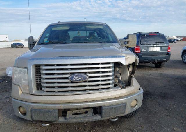 2010 FORD F-150 FX4