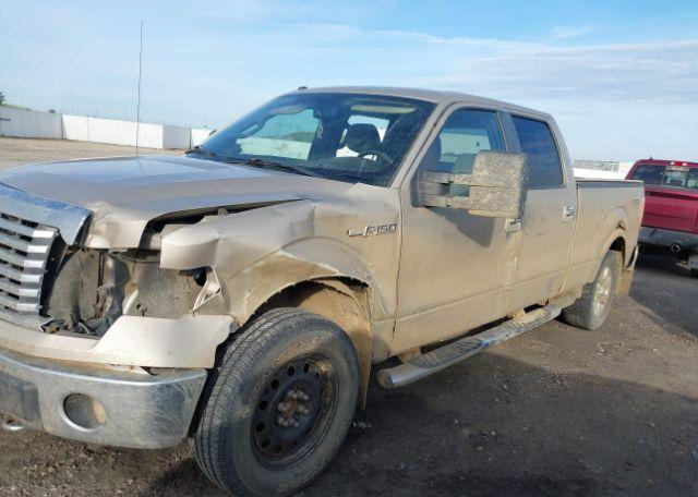 2010 FORD F-150 FX4