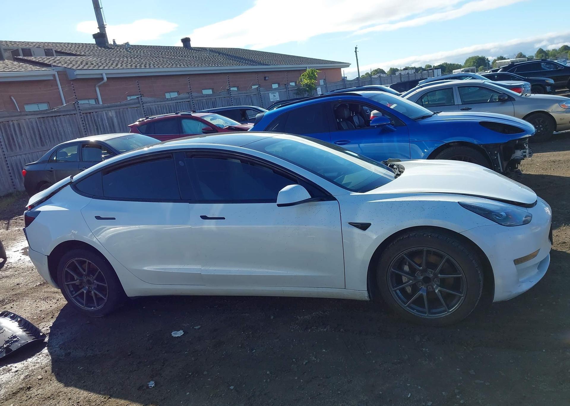 2021 TESLA MODEL 3 STANDARD RANGE