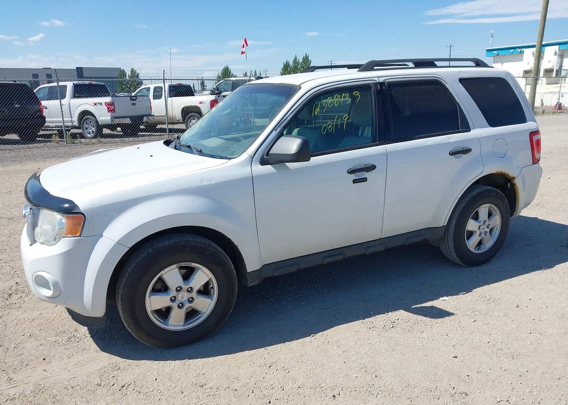 2011 FORD ESCAPE XLT