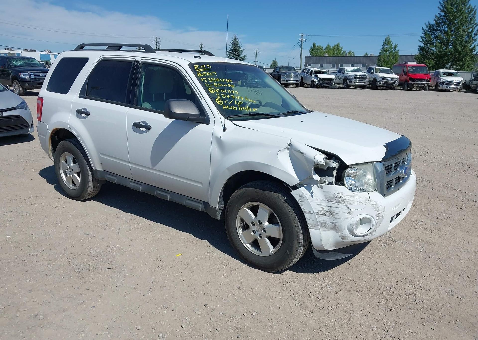 2011 FORD ESCAPE XLT