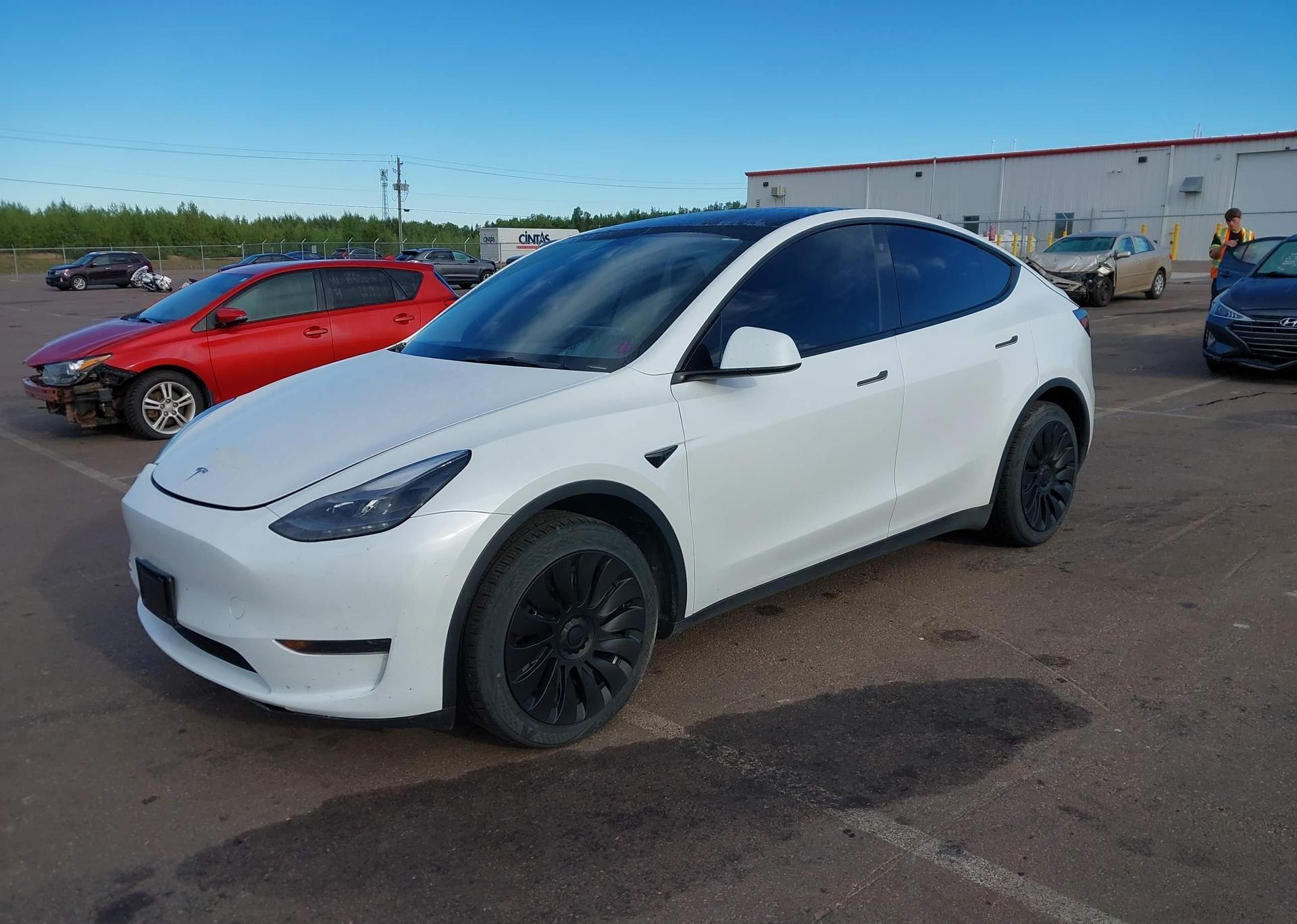2023 TESLA MODEL Y RWD