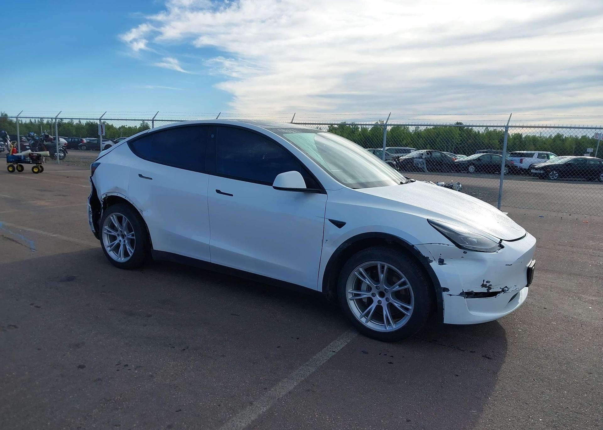 2023 TESLA MODEL Y RWD