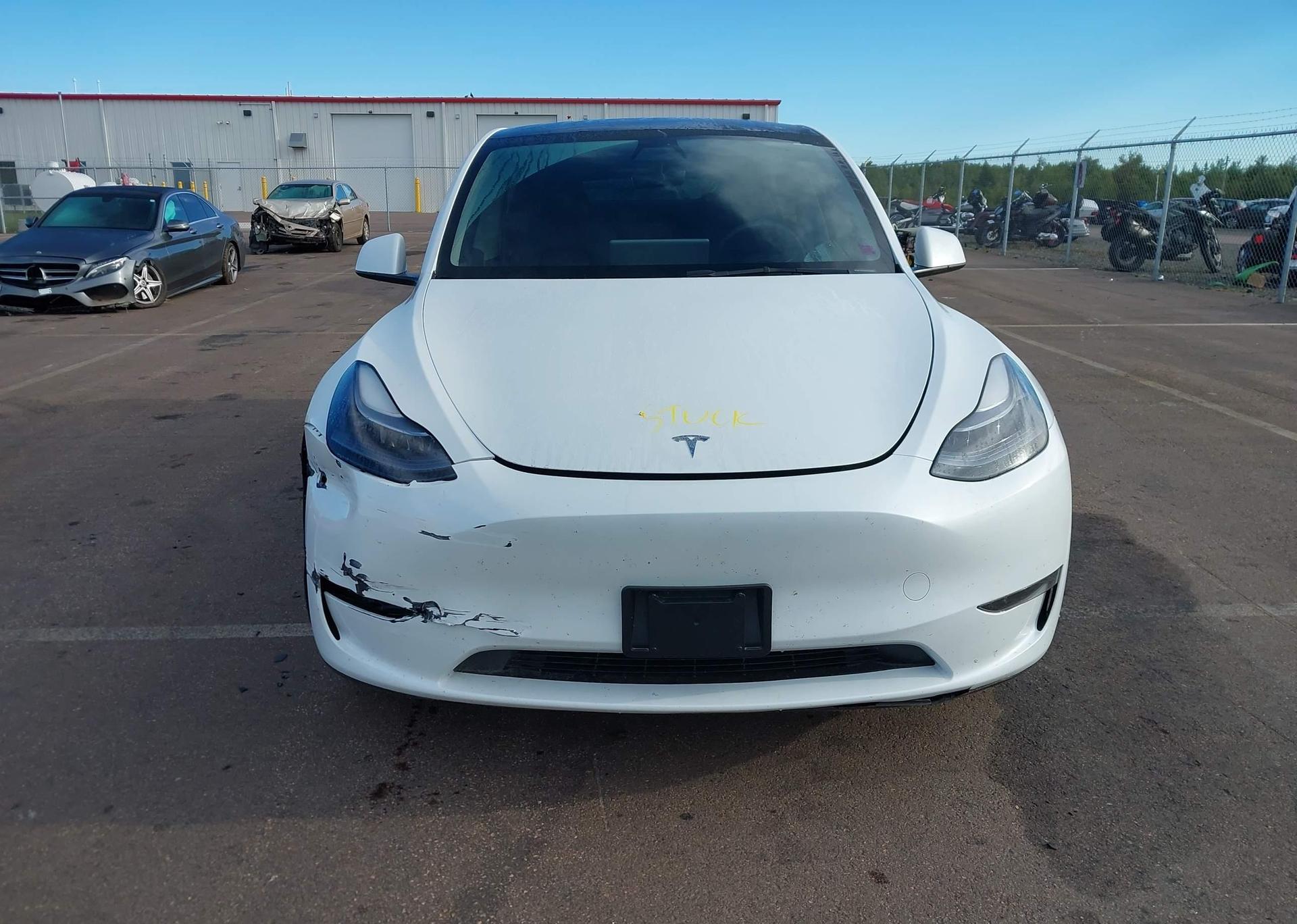 2023 TESLA MODEL Y RWD