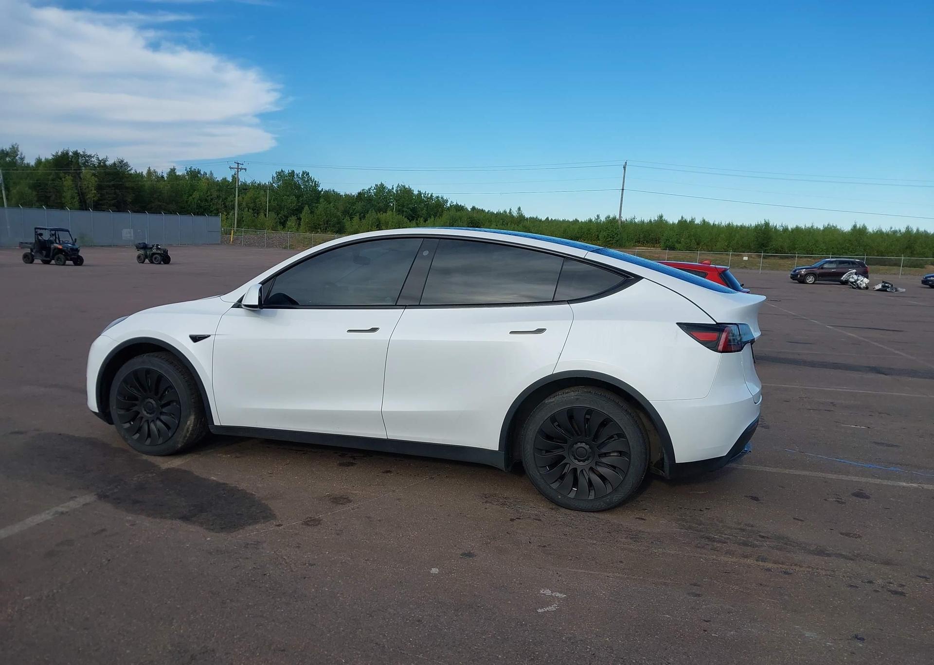 2023 TESLA MODEL Y RWD