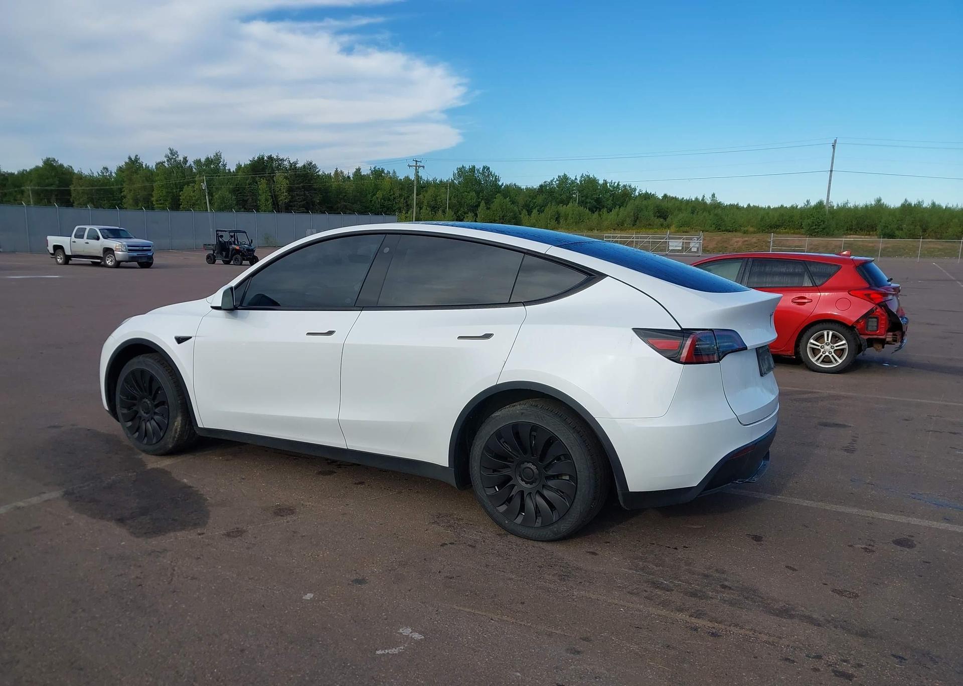 2023 TESLA MODEL Y RWD