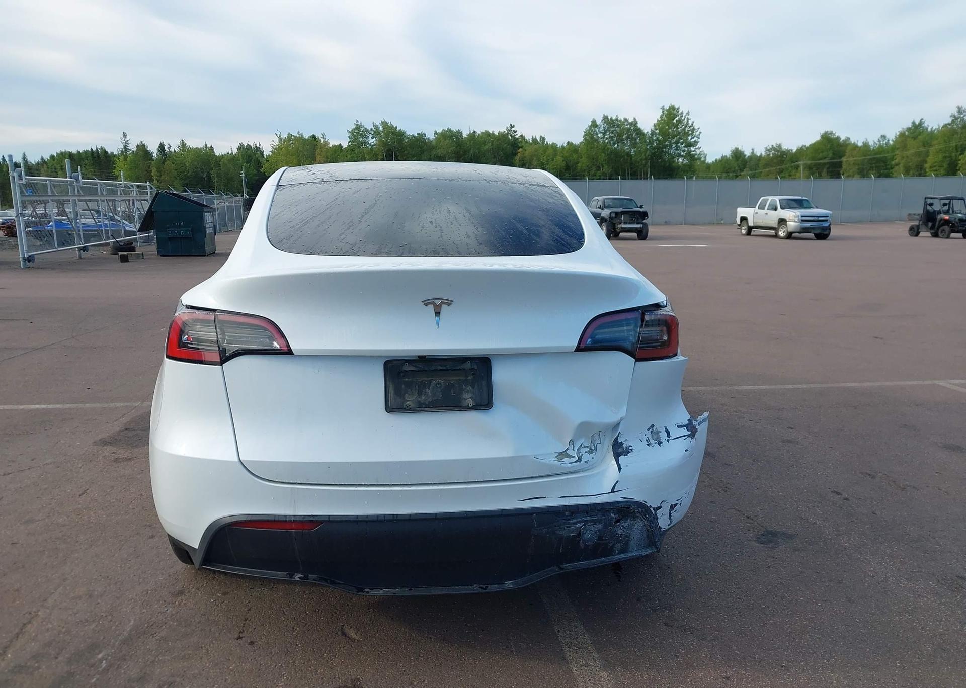 2023 TESLA MODEL Y RWD