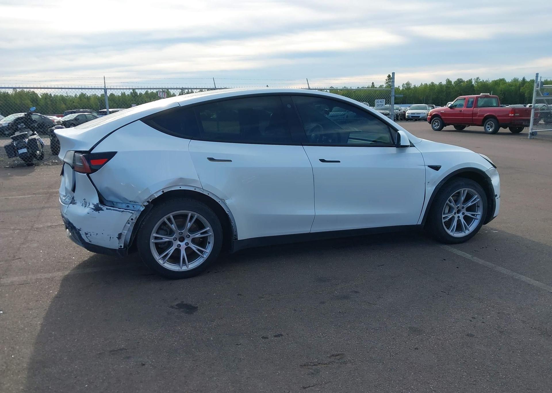 2023 TESLA MODEL Y RWD