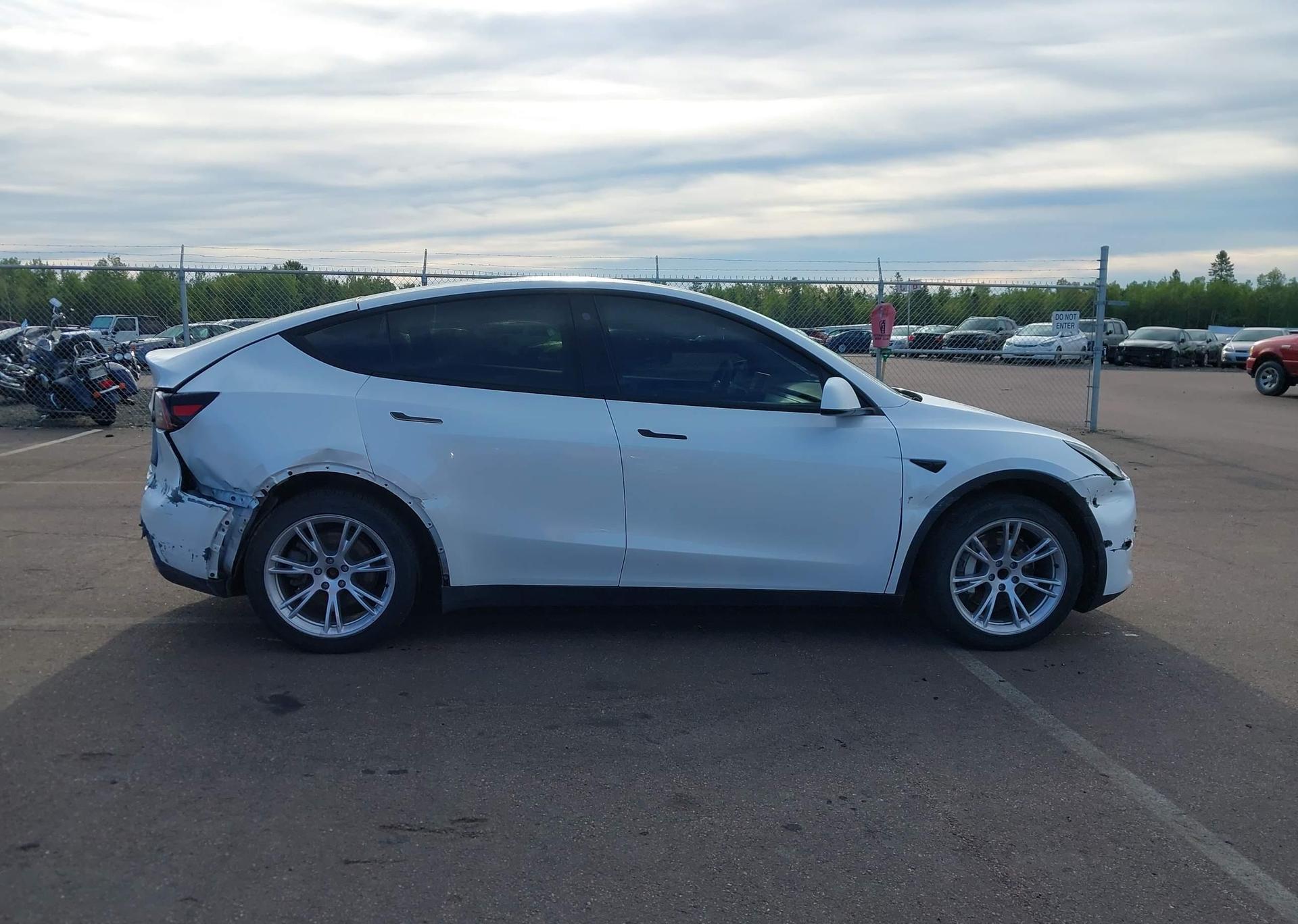 2023 TESLA MODEL Y RWD