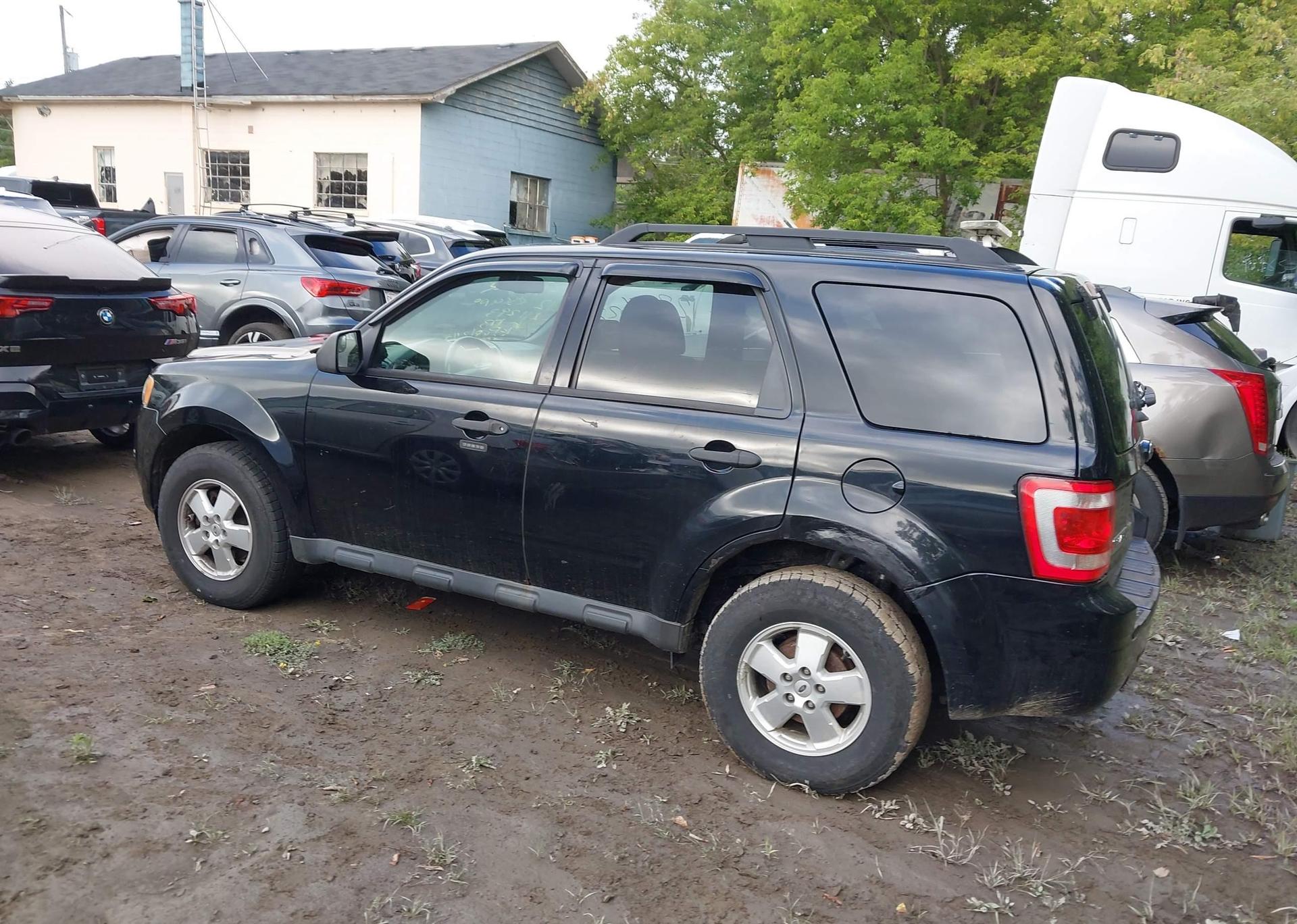2012 FORD ESCAPE XLT