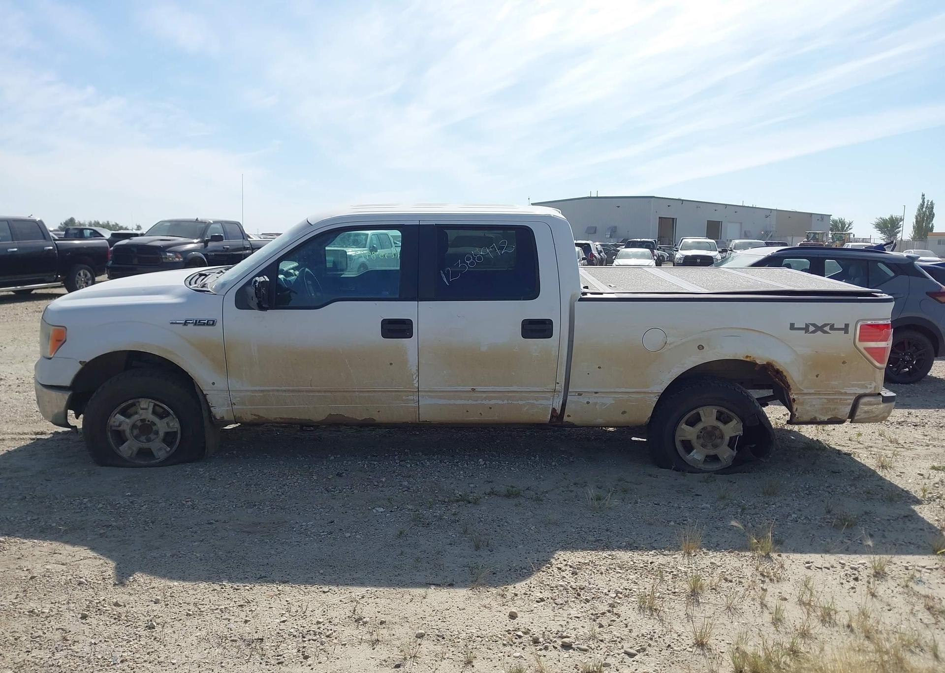2014 FORD F150 SUPERCREW
