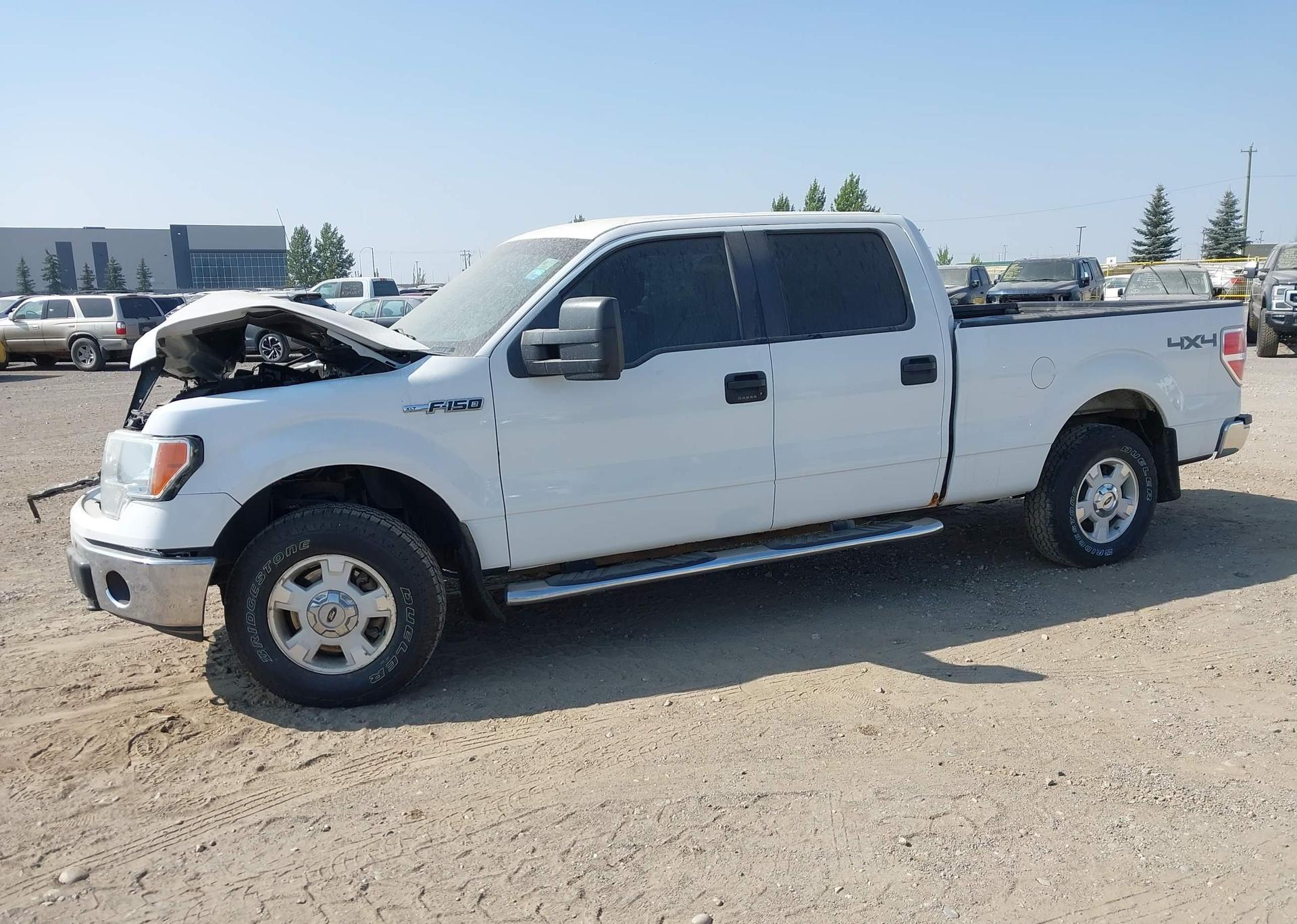 2014 FORD F-150 XLT