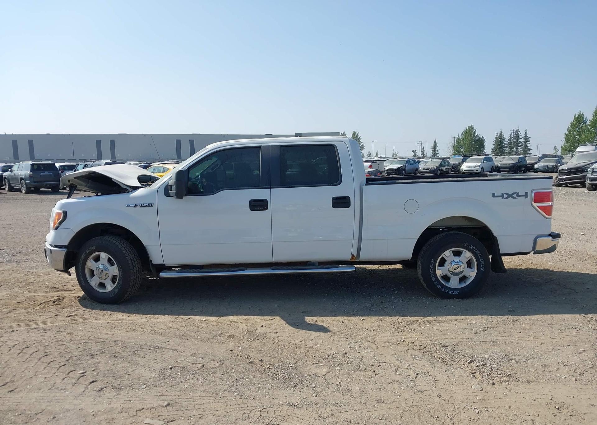 2014 FORD F-150 XLT