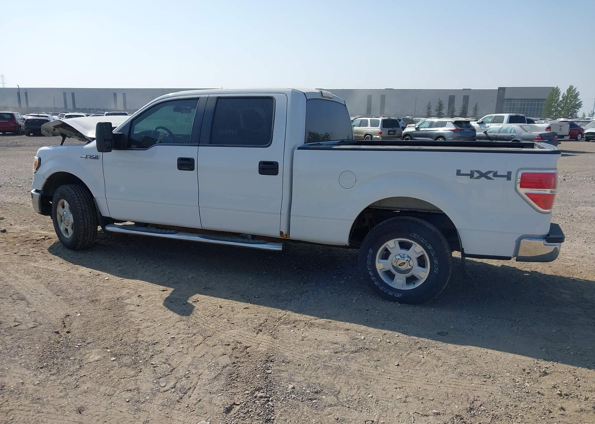 2014 FORD F-150 XLT