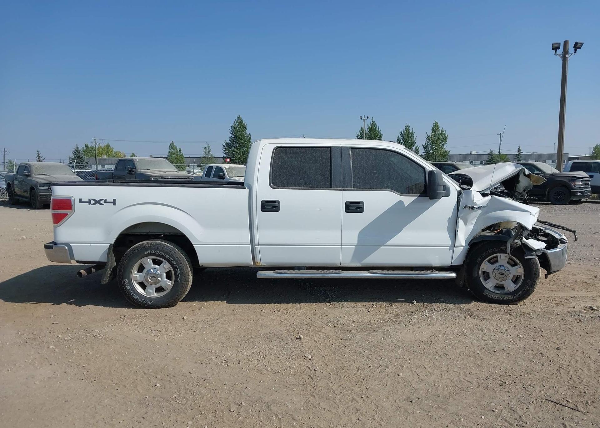 2014 FORD F-150 XLT