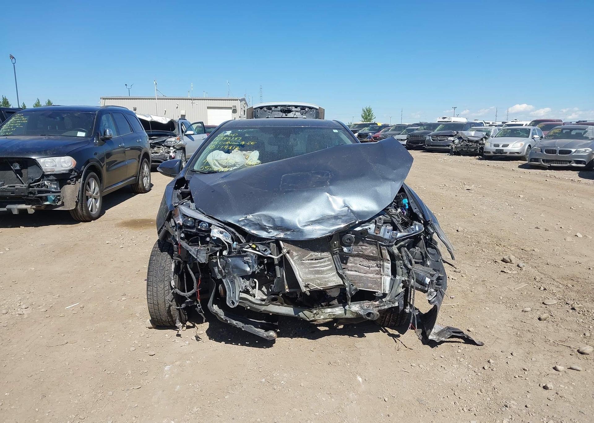 2019 TOYOTA COROLLA SE