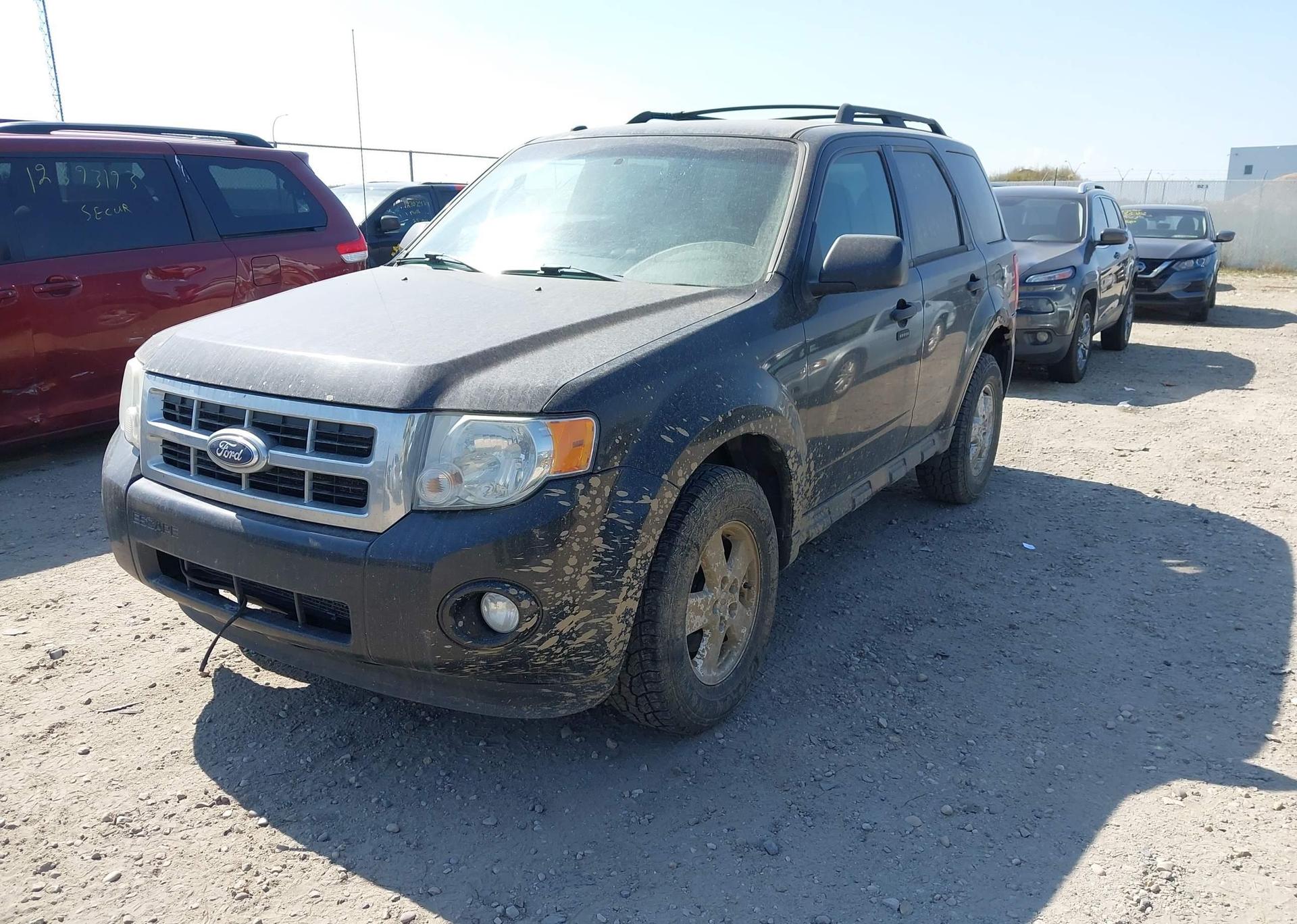 2011 FORD ESCAPE XLT