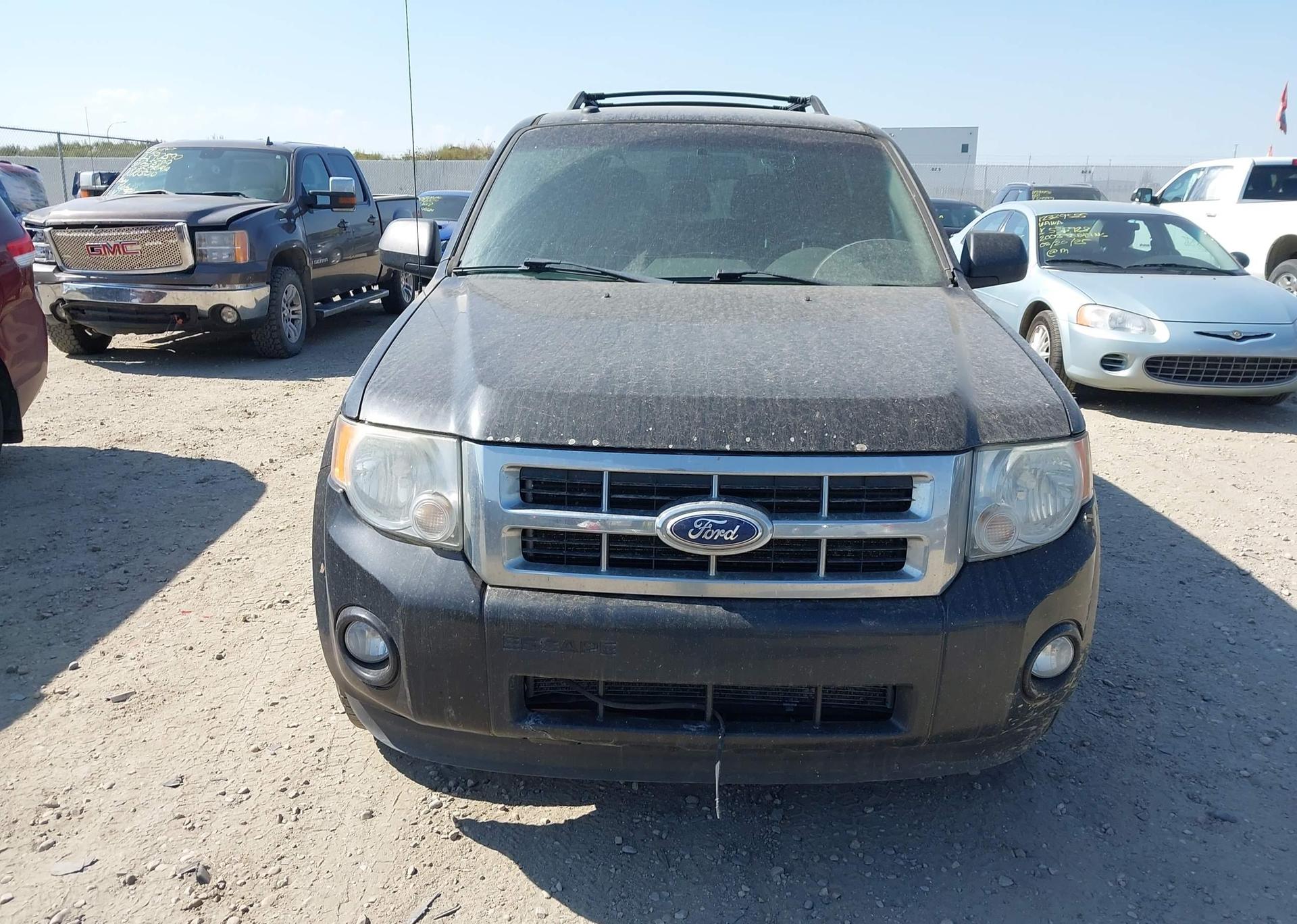 2011 FORD ESCAPE XLT