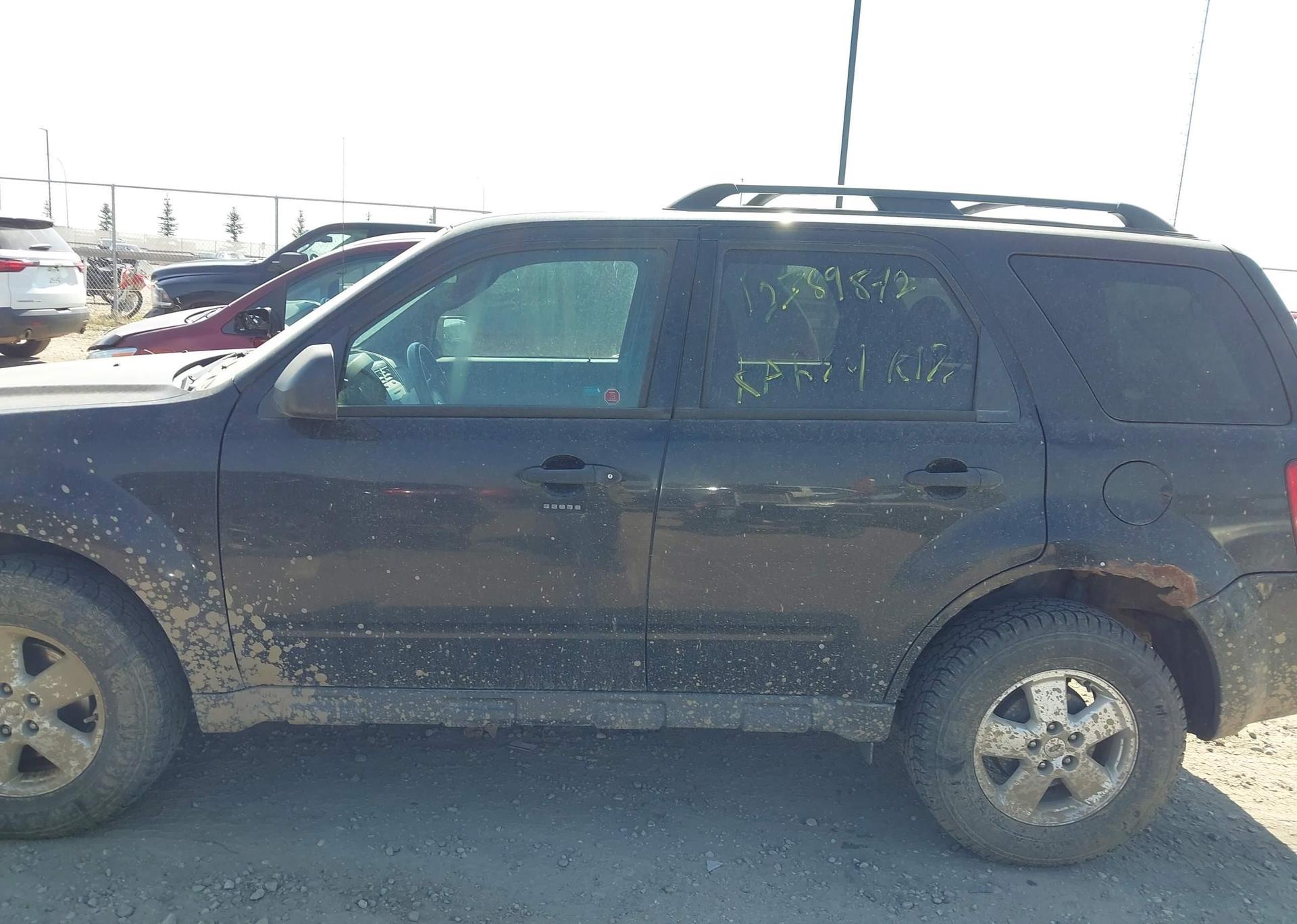 2011 FORD ESCAPE XLT