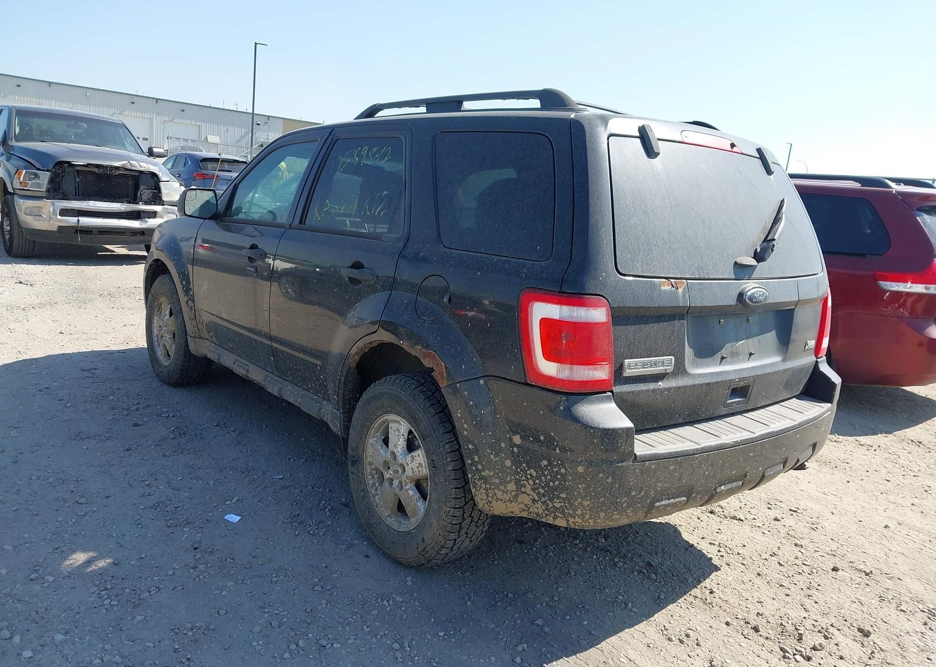 2011 FORD ESCAPE XLT