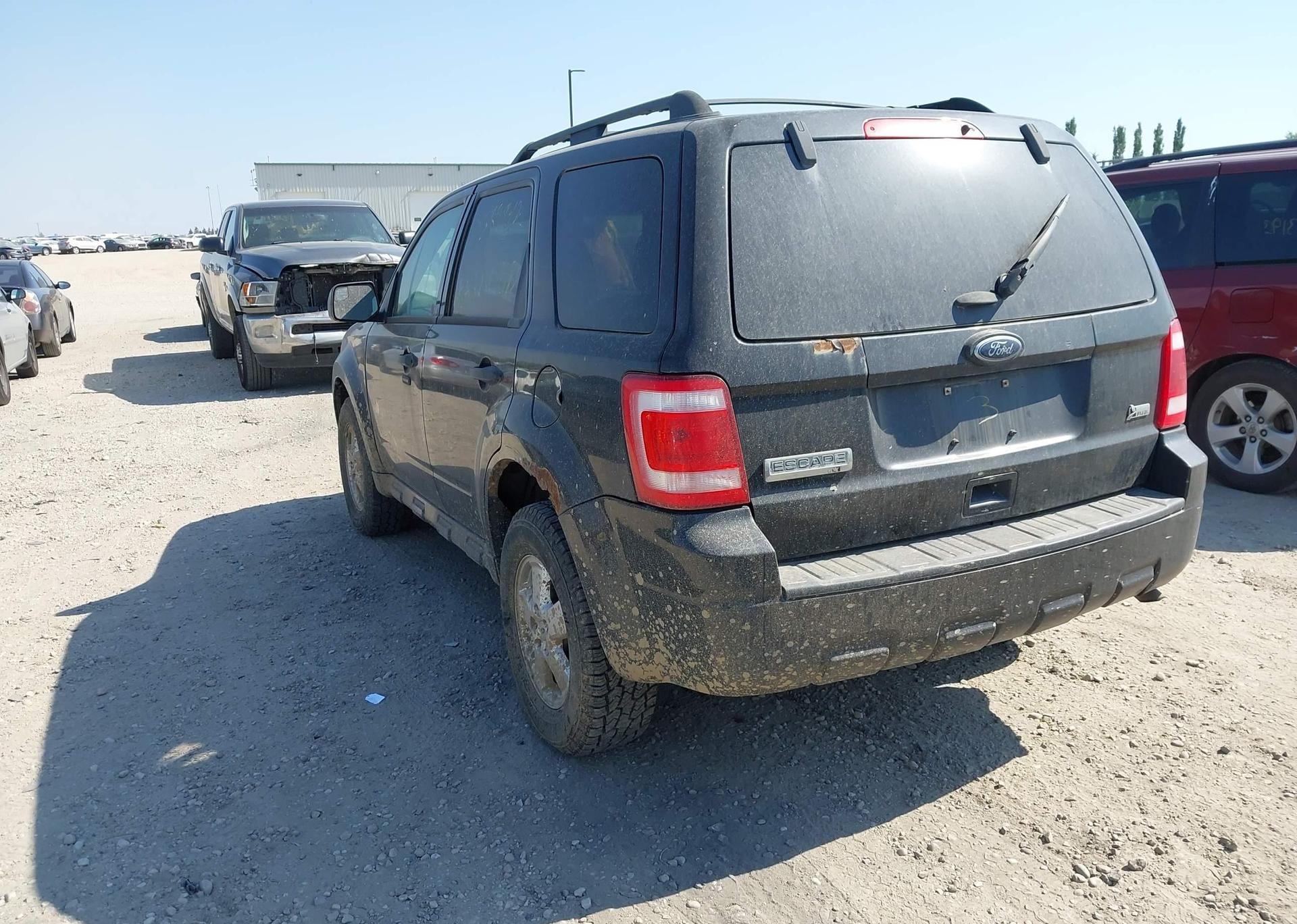 2011 FORD ESCAPE XLT