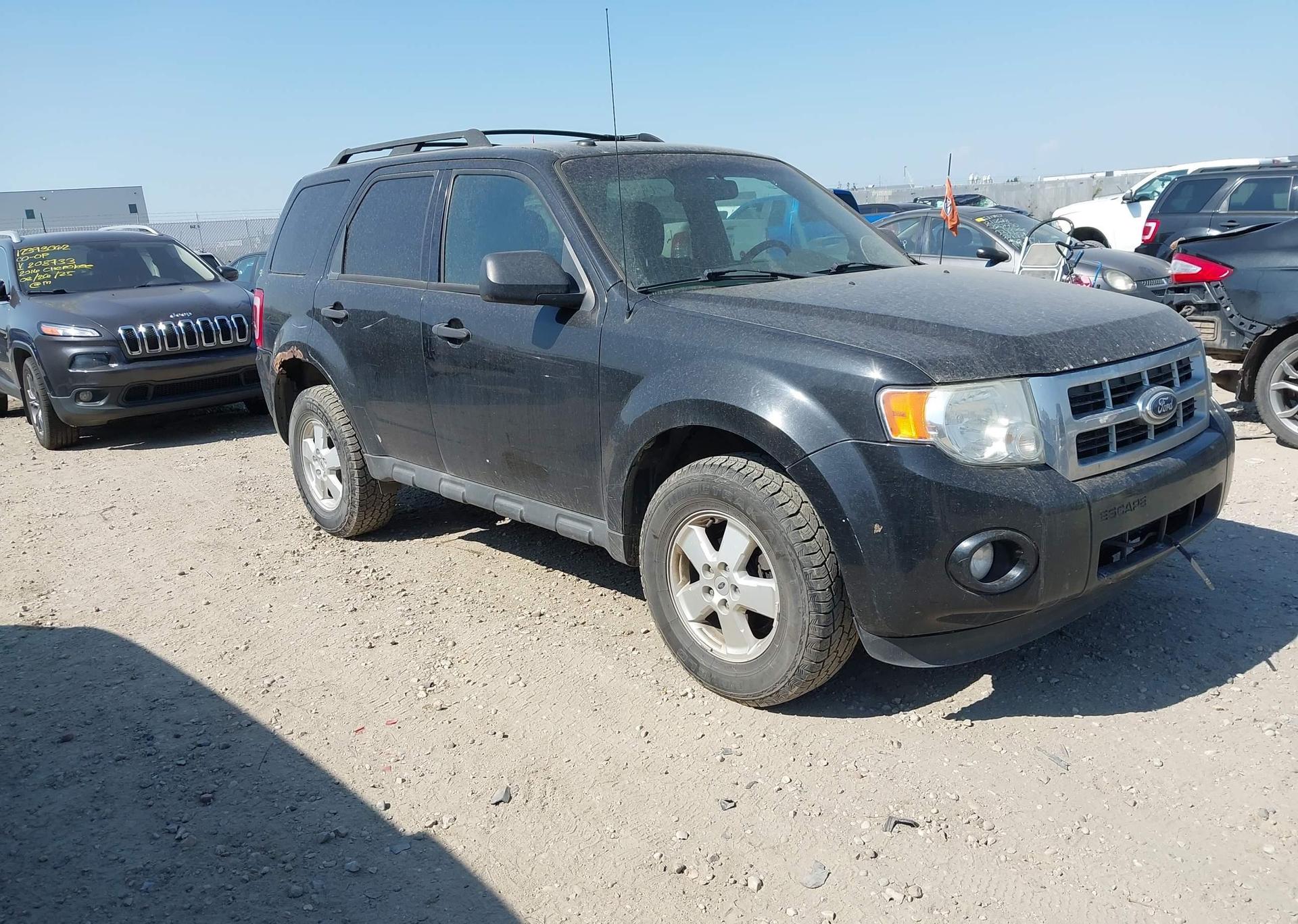 2011 FORD ESCAPE XLT