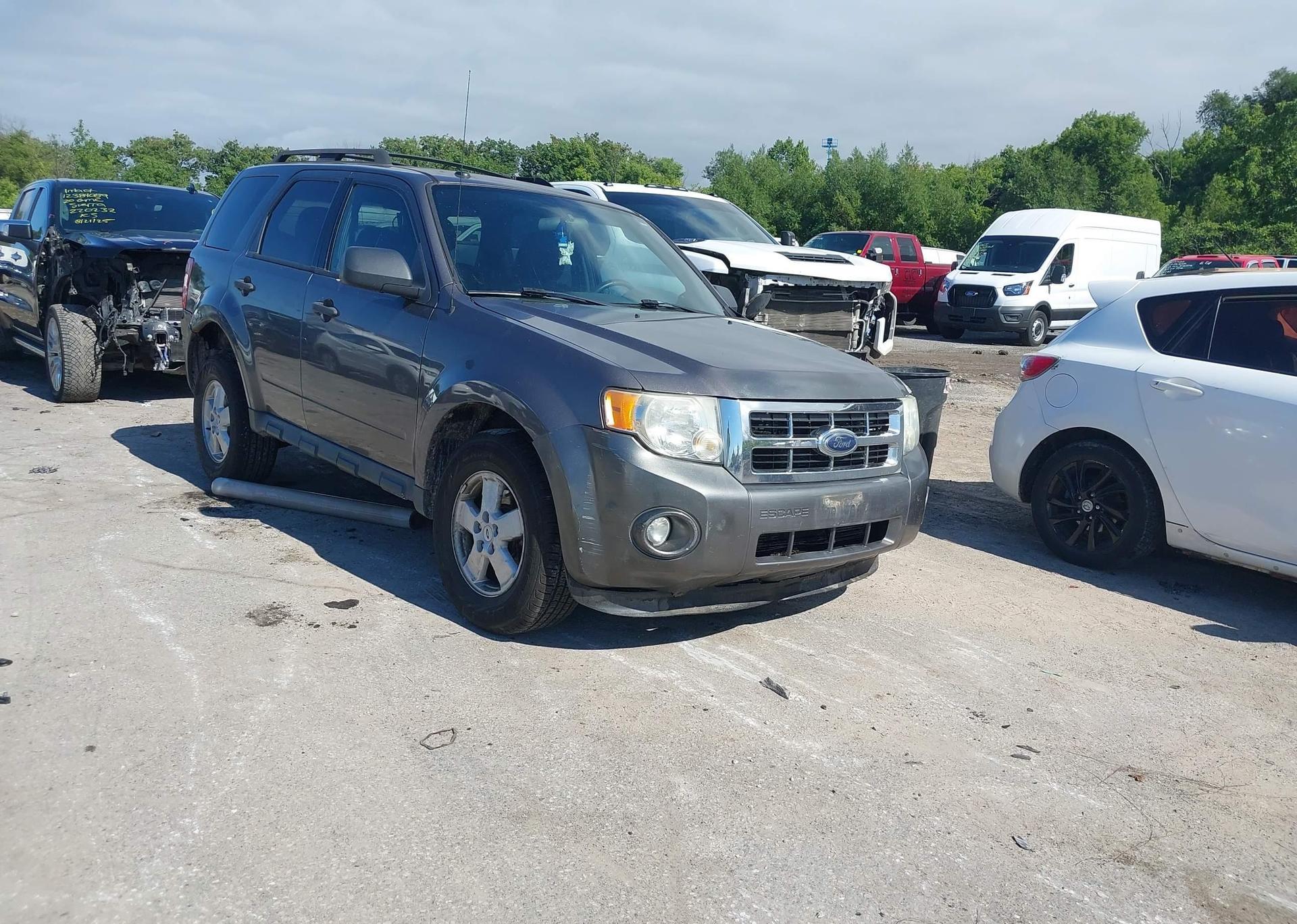 2010 FORD ESCAPE XLT